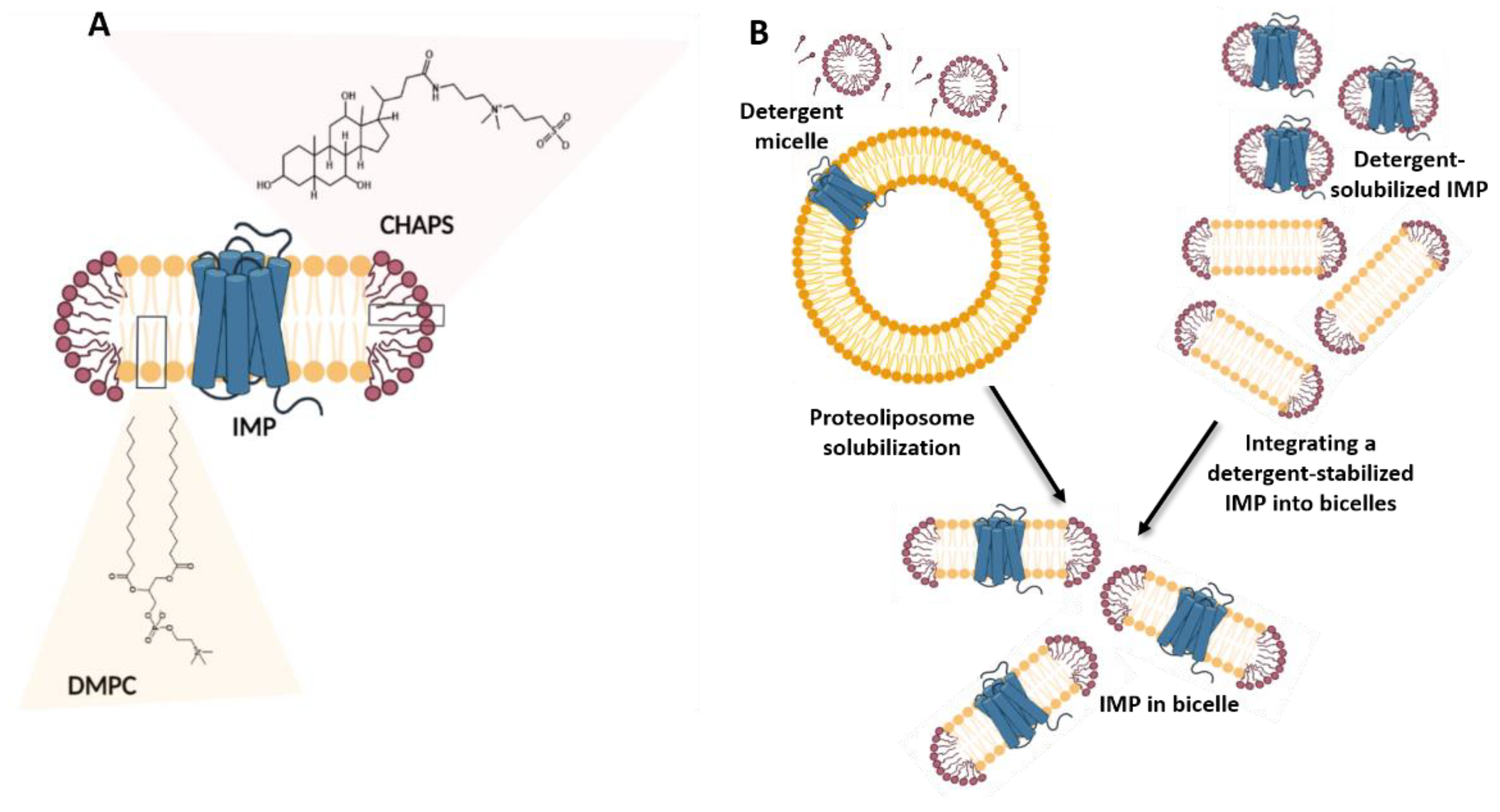 Membranes 11 00685 g003