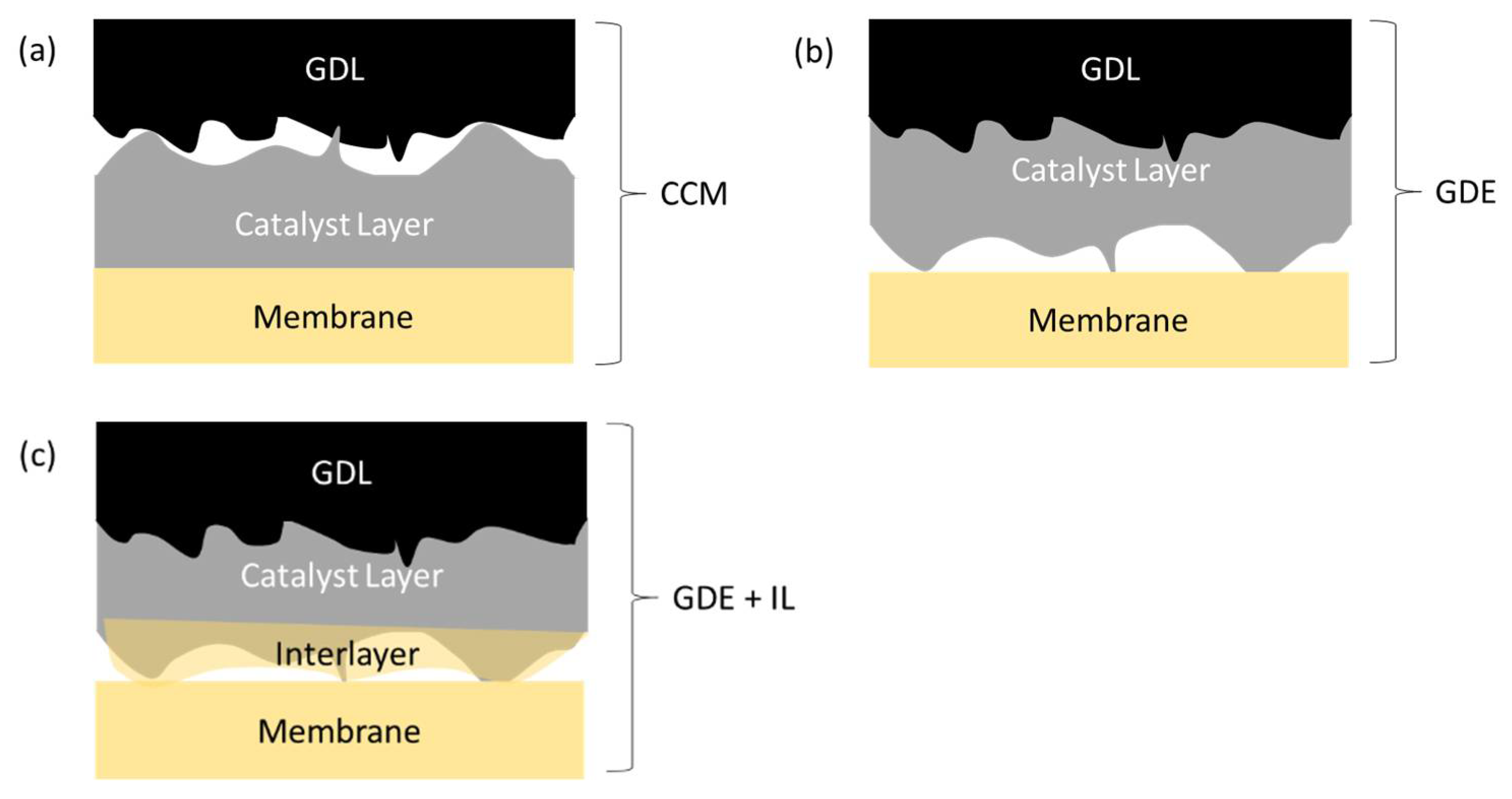 Membranes 11 00686 g009