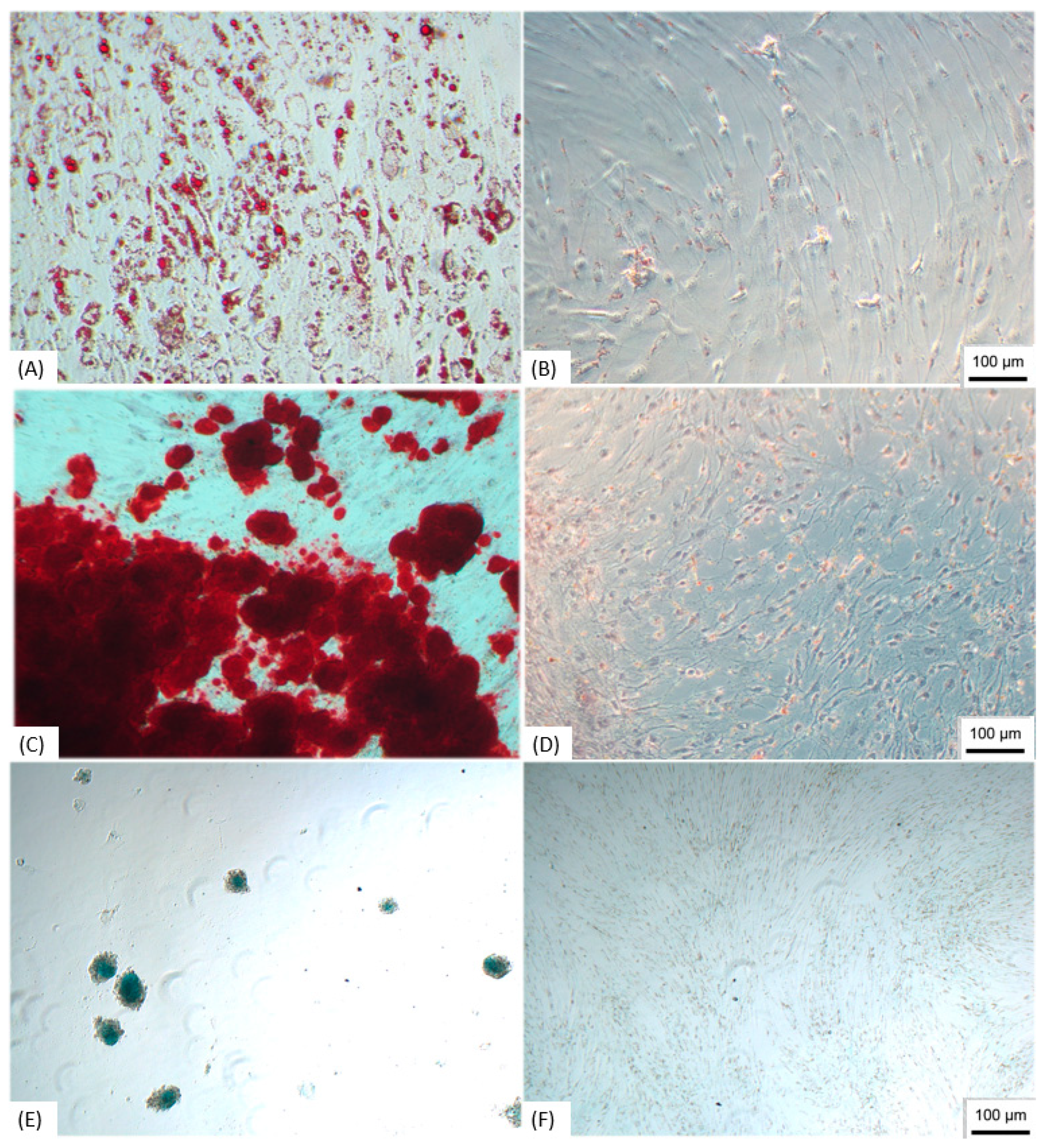 Membranes 11 00687 g001