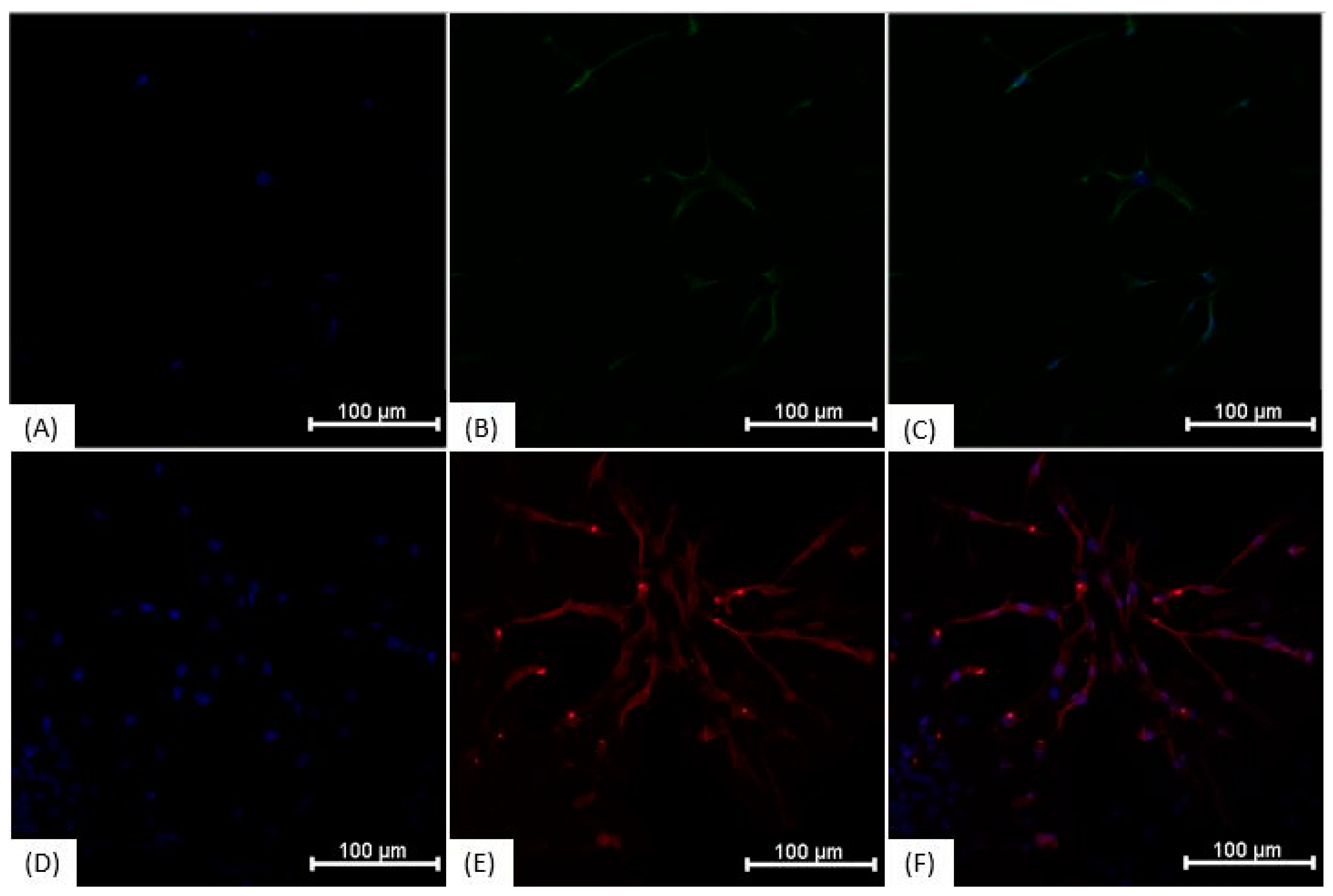 Membranes 11 00687 g006