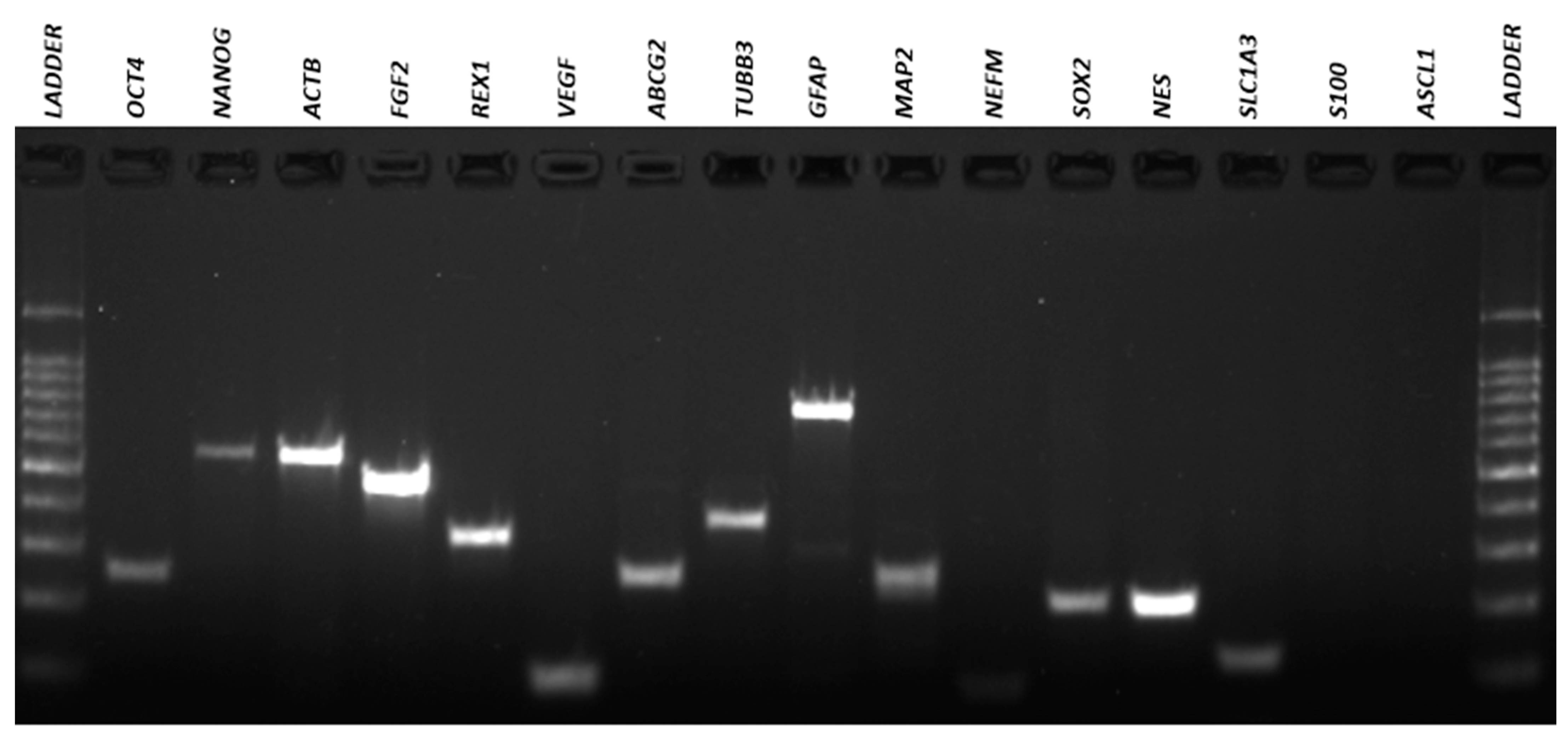Membranes 11 00687 g007