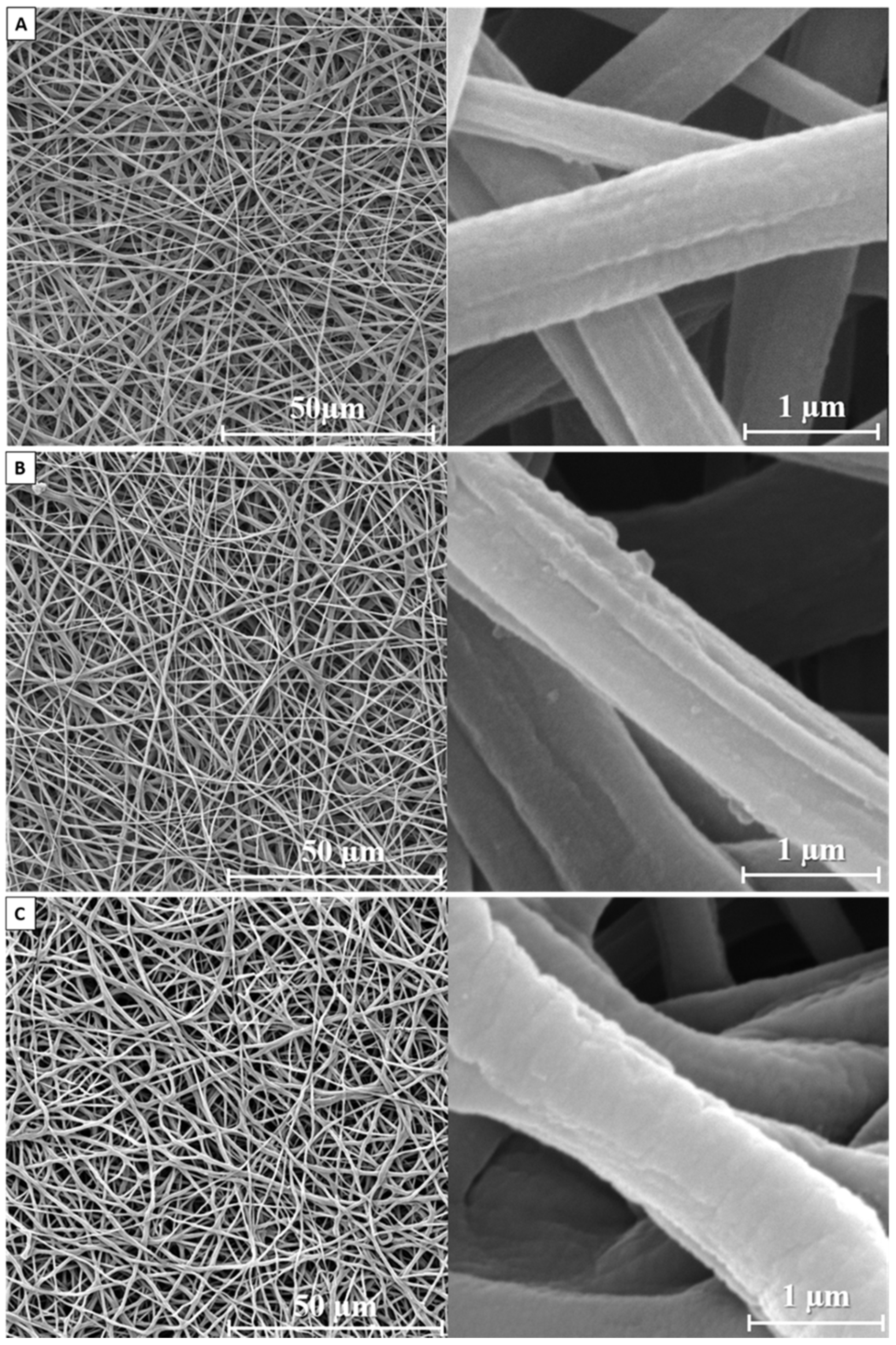 Membranes 11 00690 g002