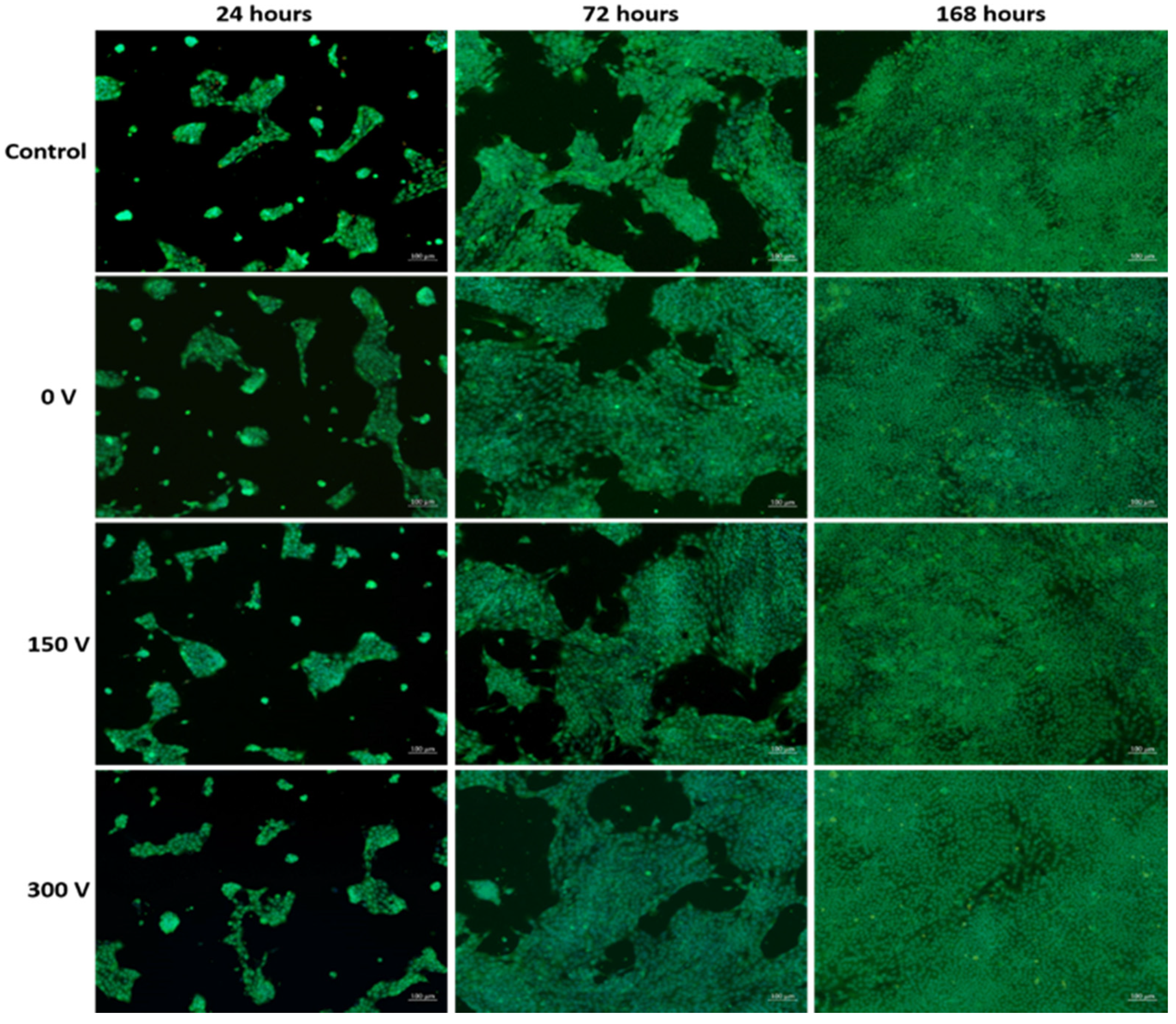 Membranes 11 00690 g005