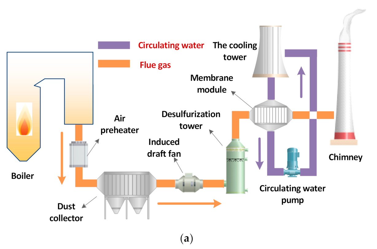 Membranes 11 00701 g002a