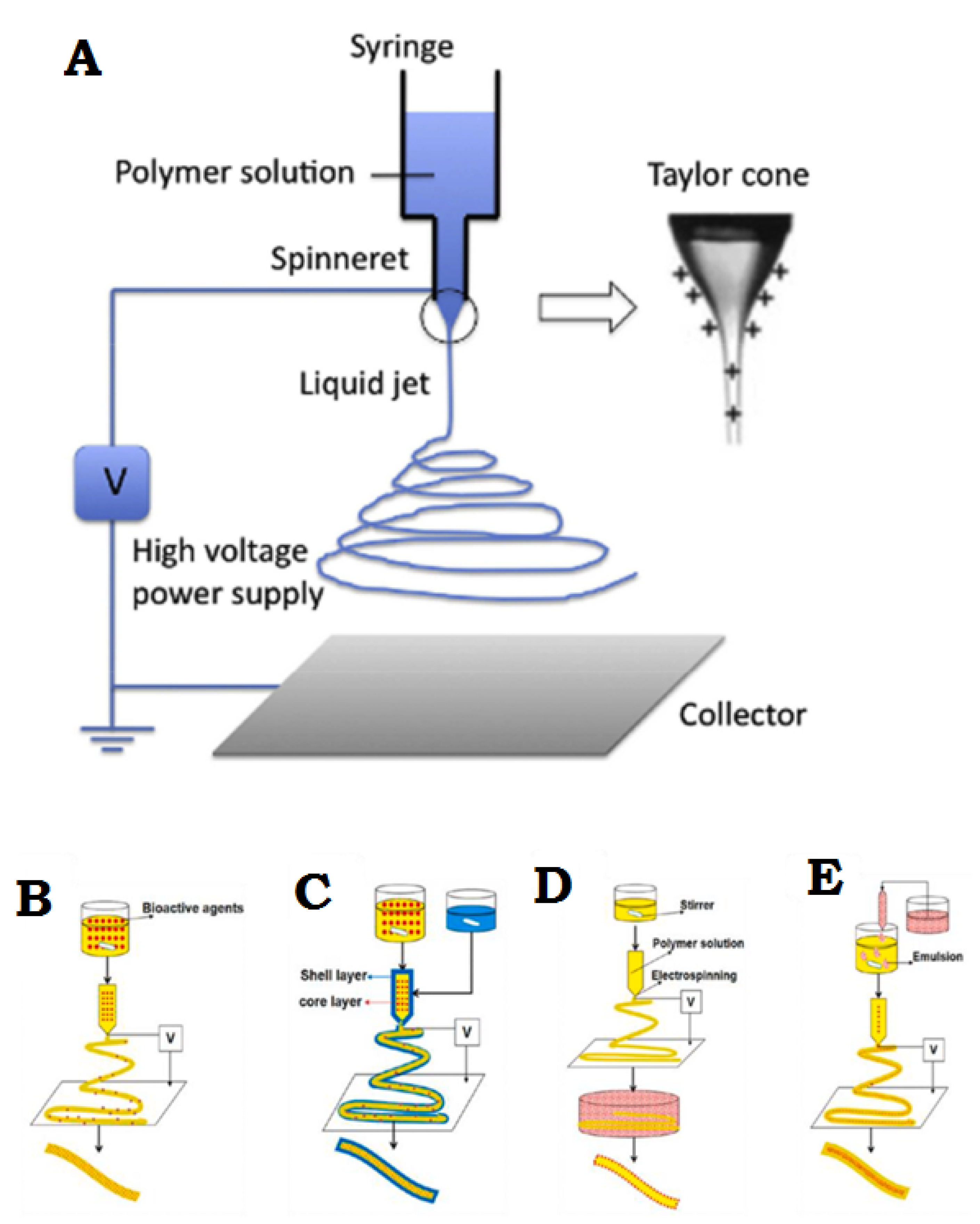 Membranes 11 00702 g002 Membranes 11 00702 g002