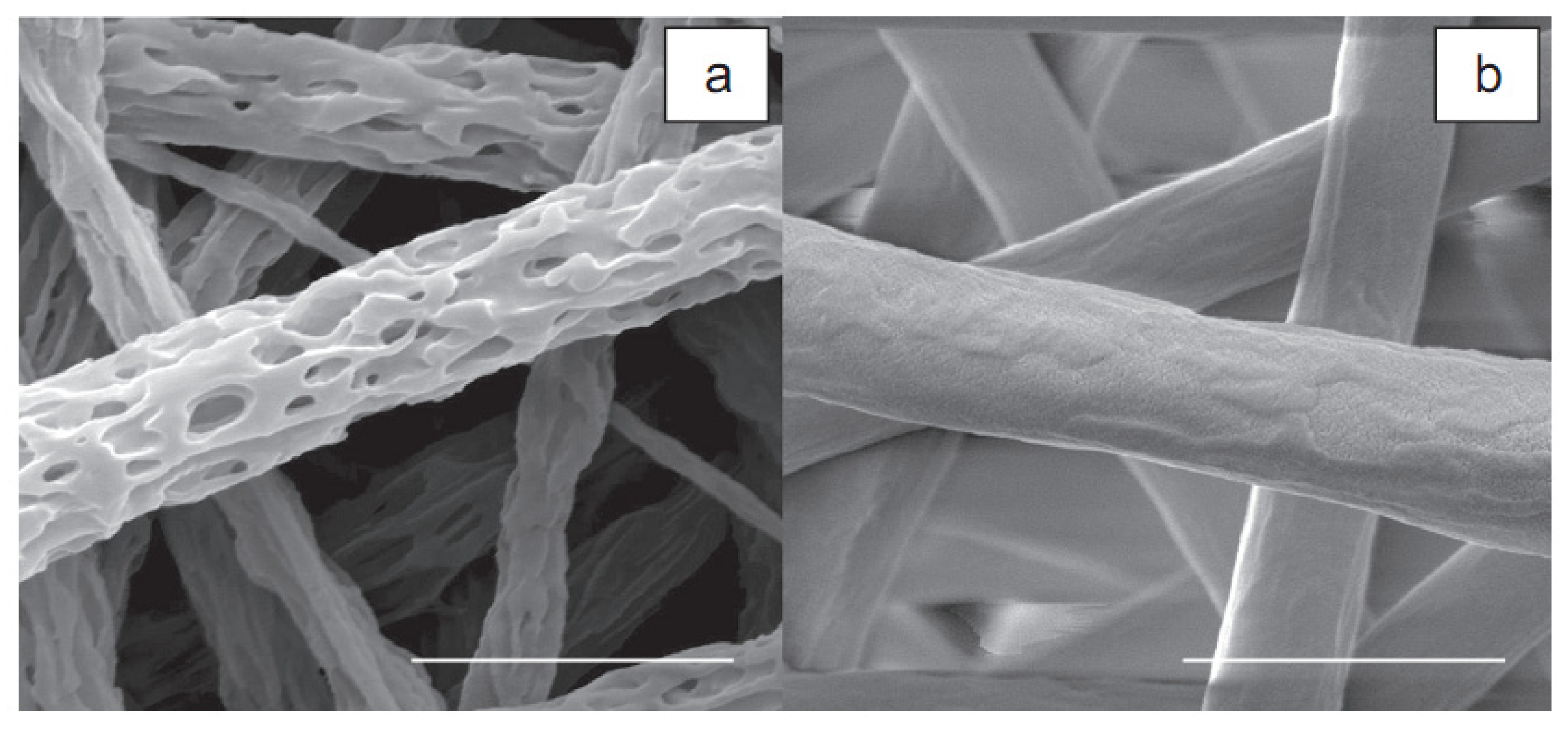Membranes 11 00702 g003 Membranes 11 00702 g003