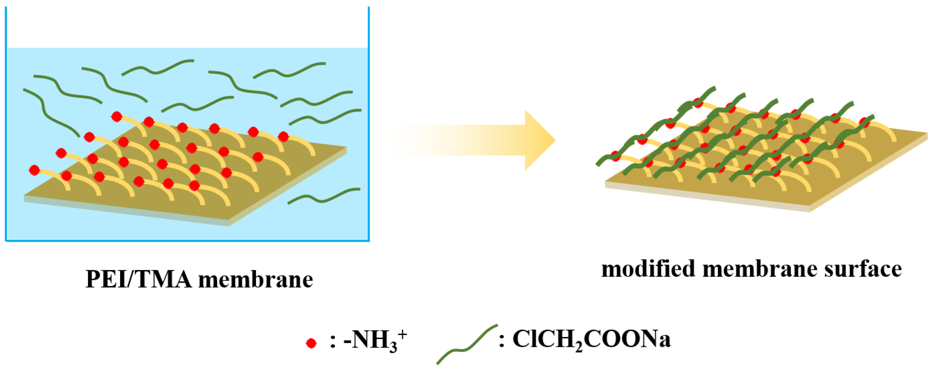 Membranes 11 00705 g001