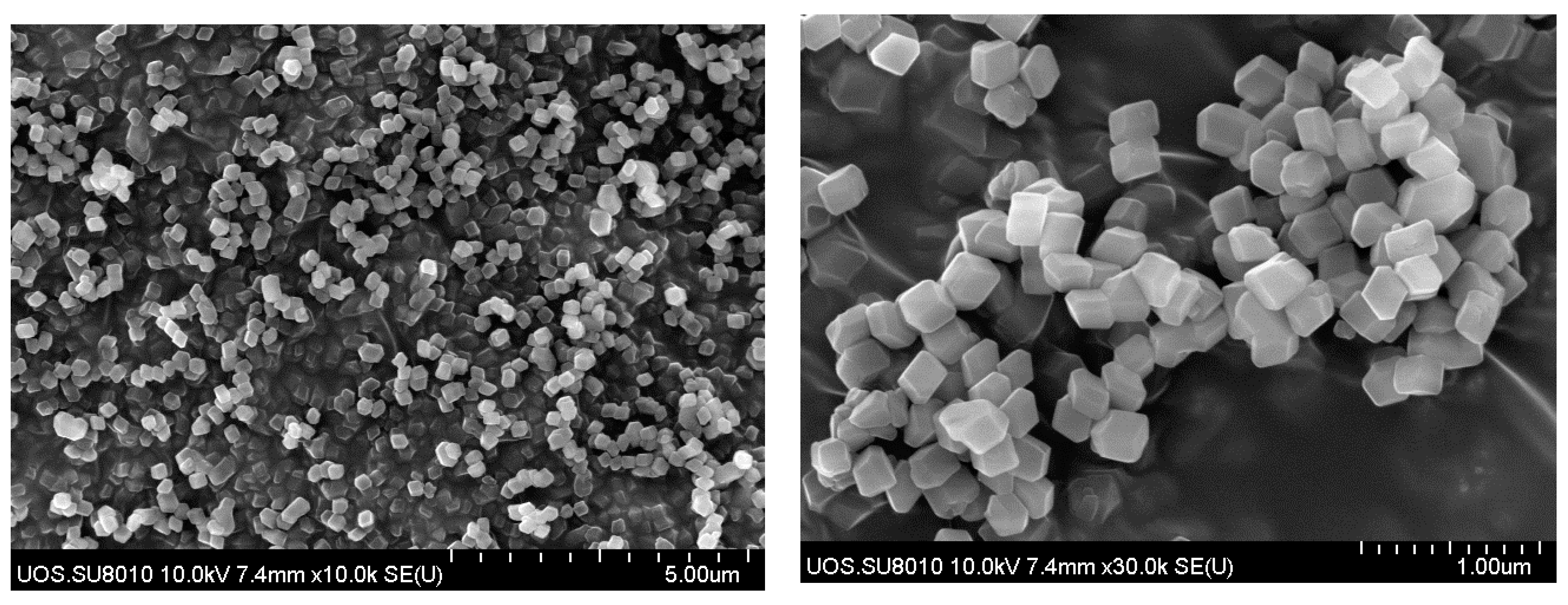 Membranes 11 00708 g004