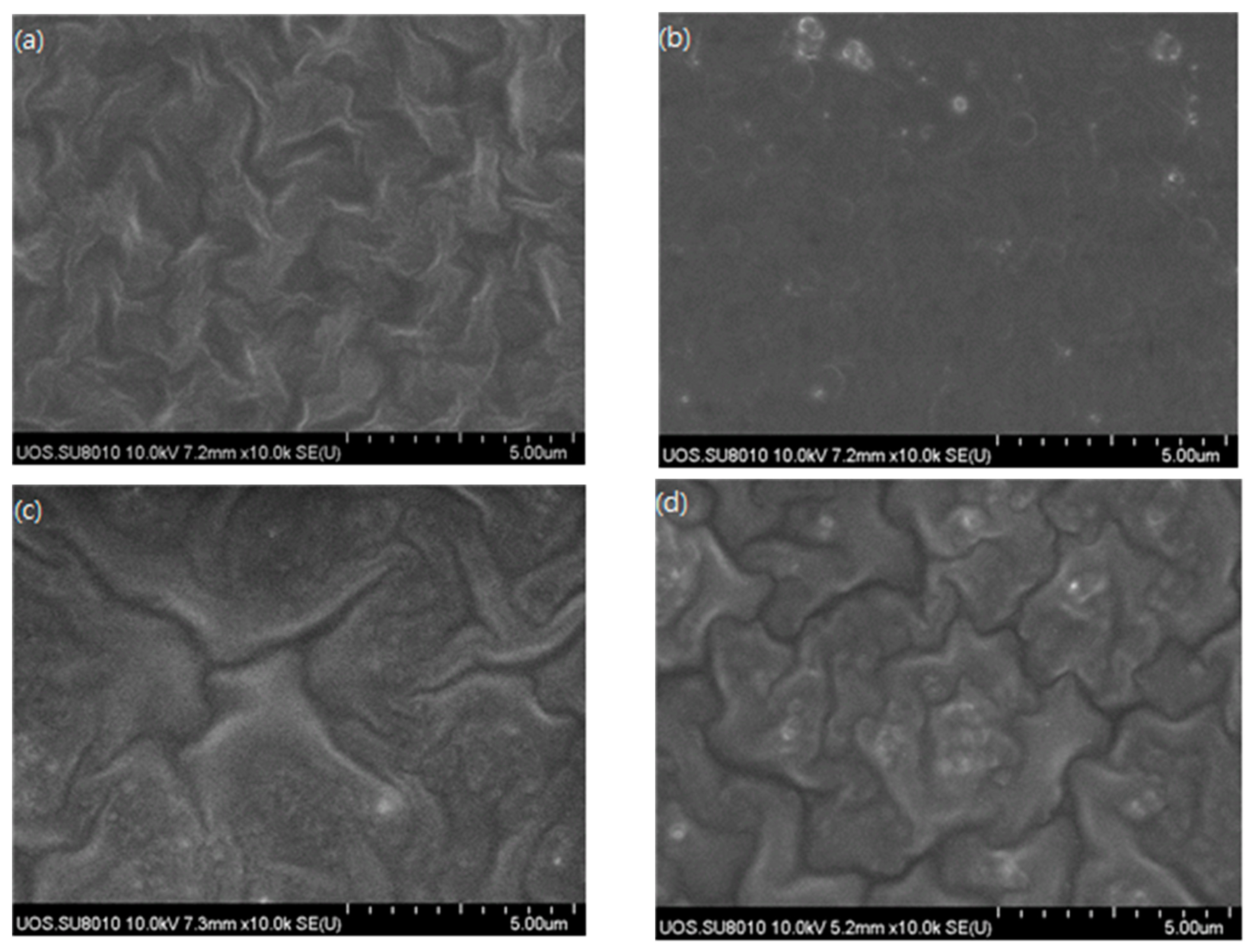 Membranes 11 00708 g011