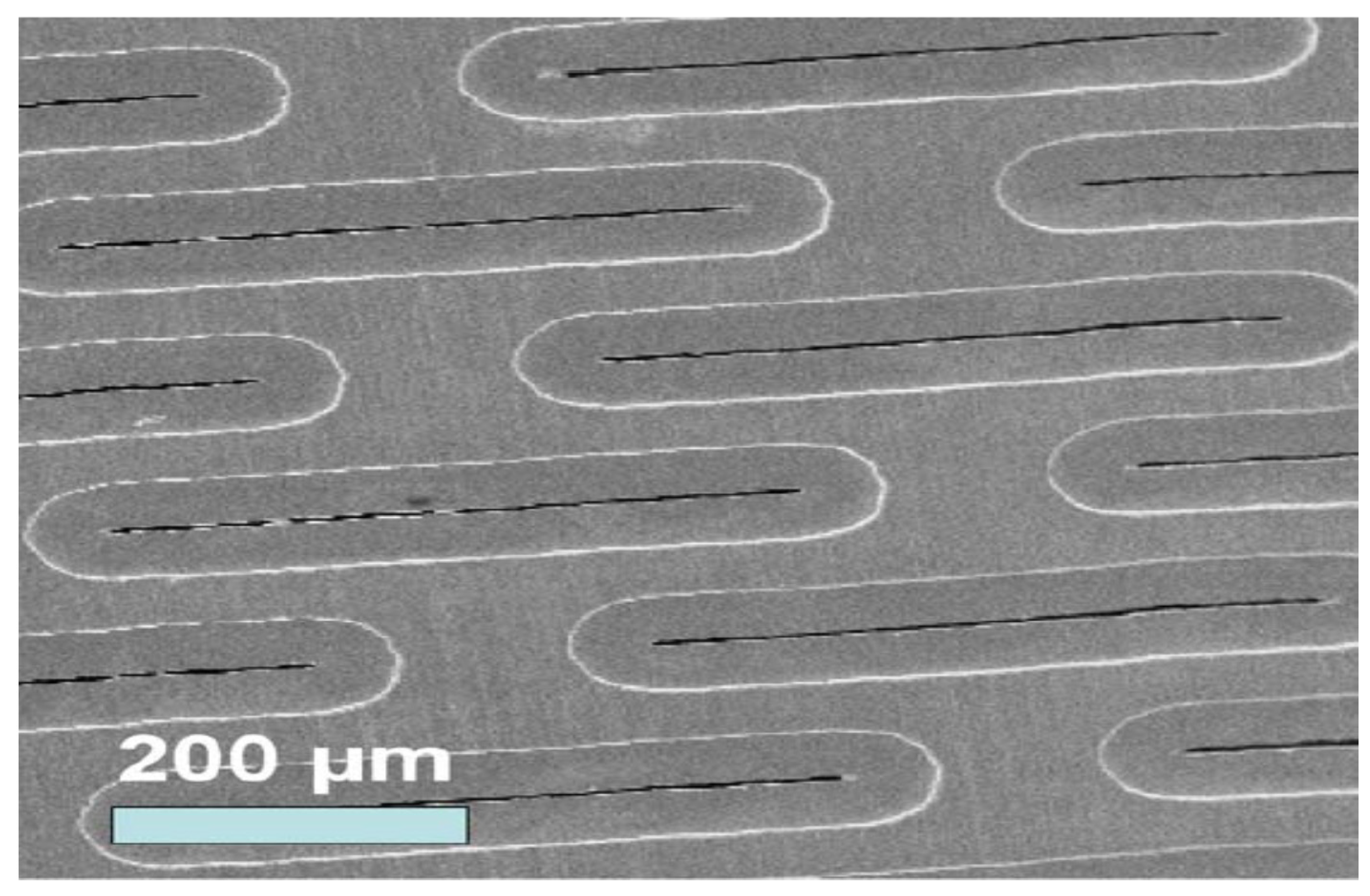 Membranes 11 00709 g003 Membranes 11 00709 g003