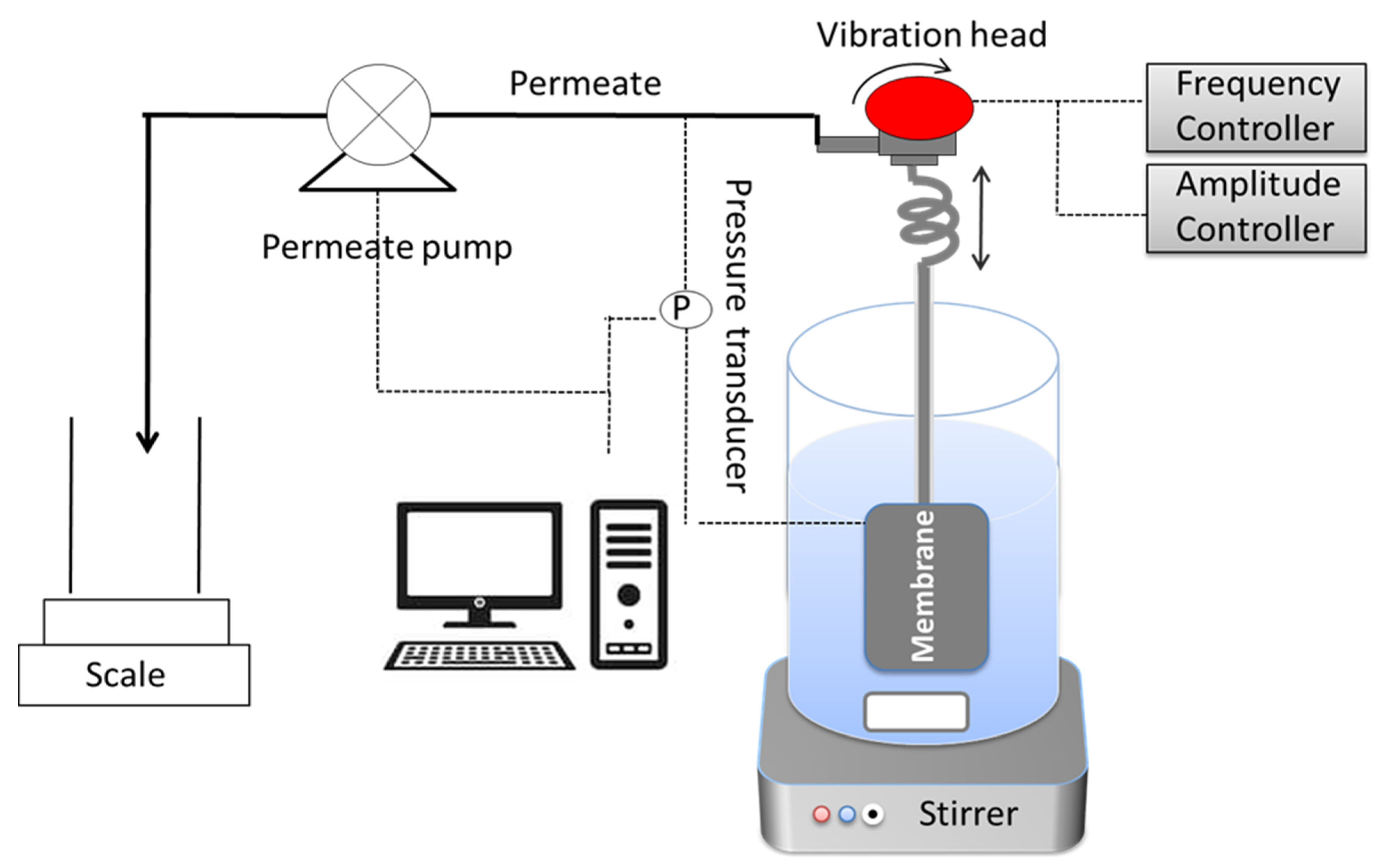 Membranes 11 00709 g004 Membranes 11 00709 g004