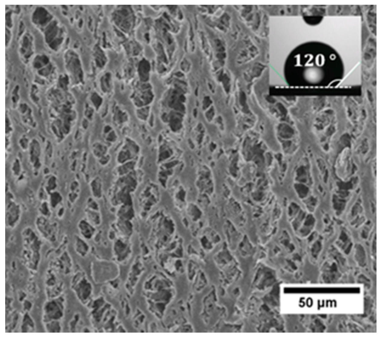 Membranes 11 00710 g001 Membranes 11 00710 g001