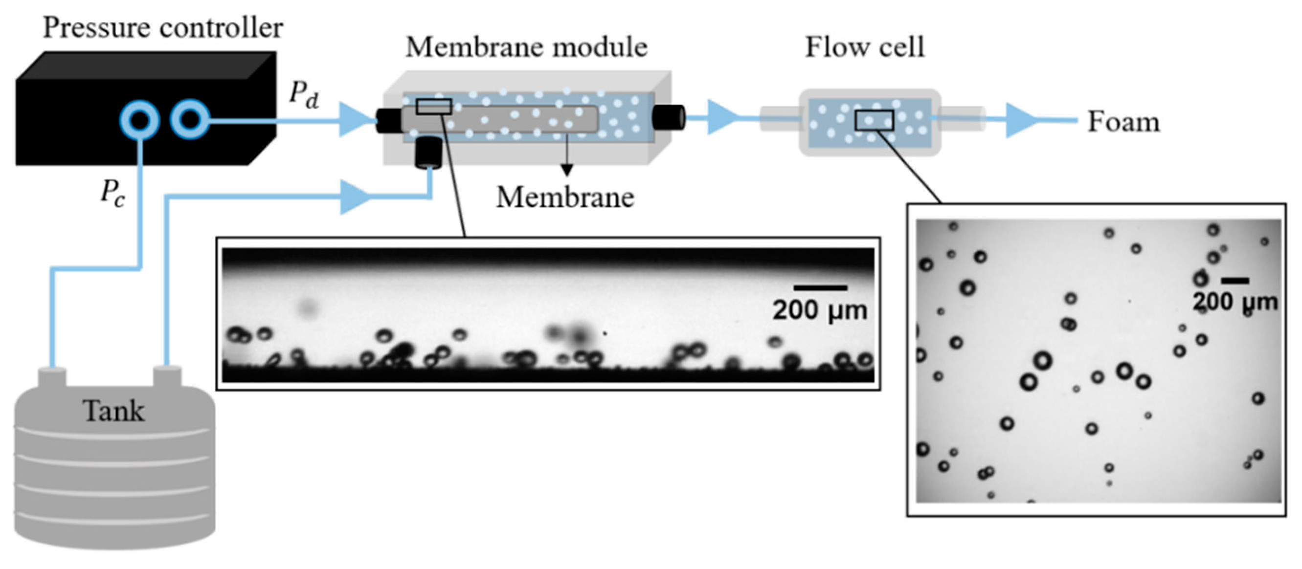 Membranes 11 00710 g002 Membranes 11 00710 g002