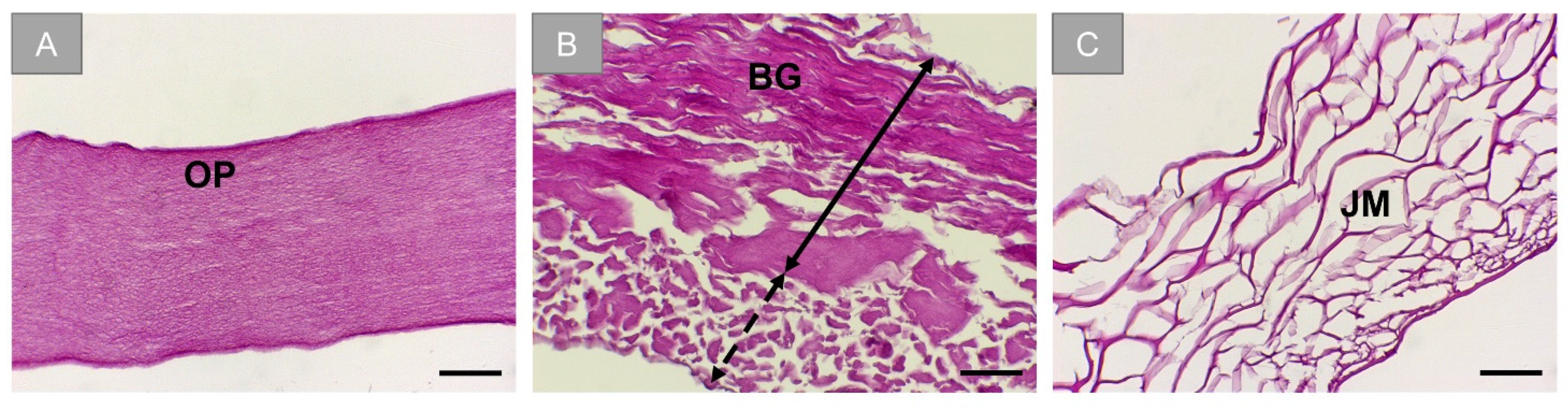 Membranes 11 00712 g001