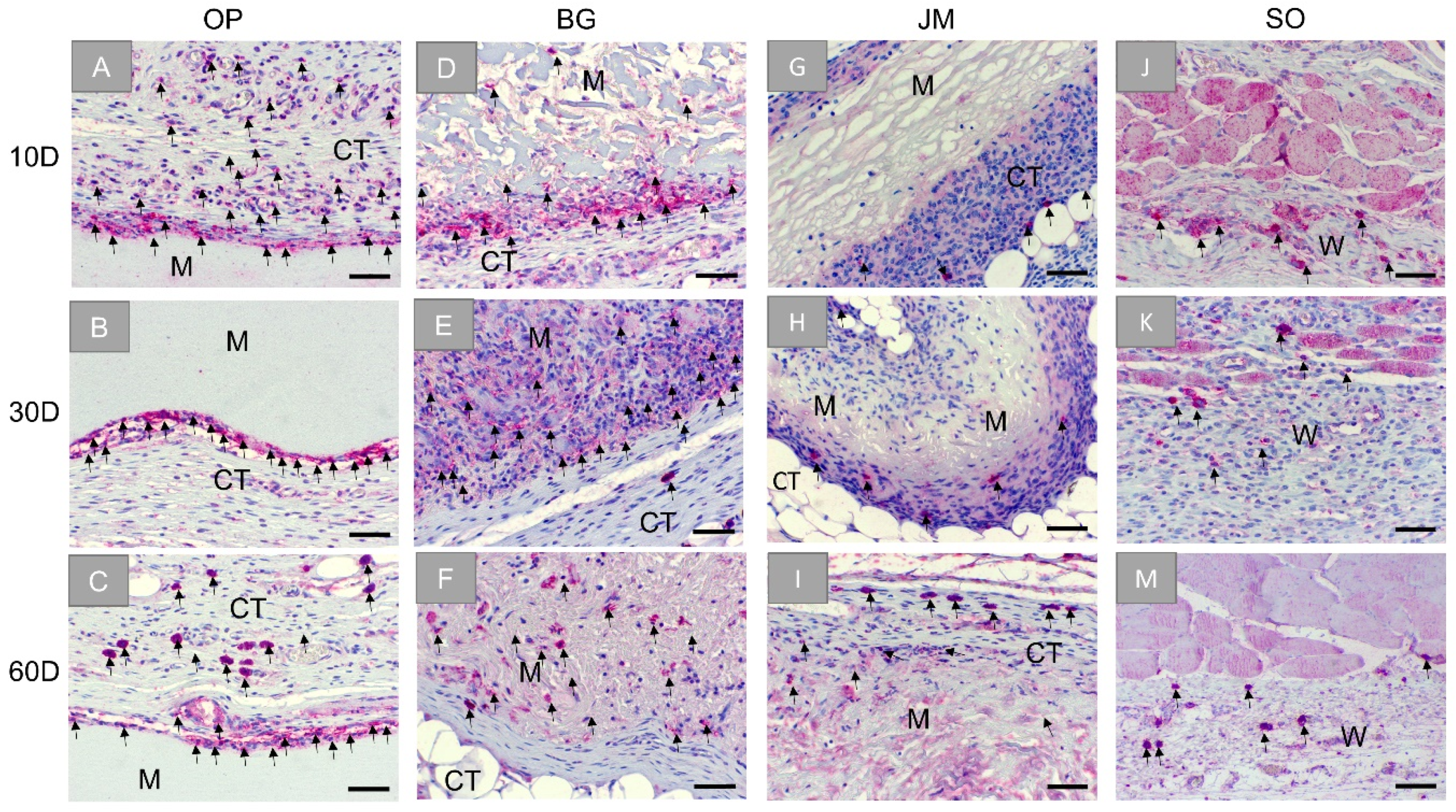 Membranes 11 00712 g007
