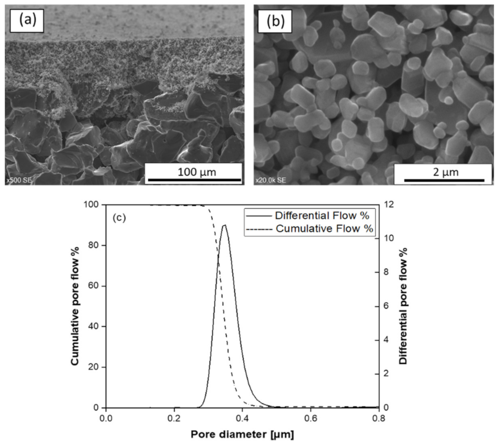 Membranes 11 00714 g004