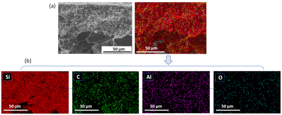 Membranes 11 00714 g006