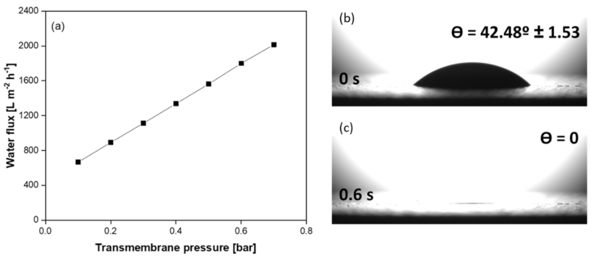 Membranes 11 00714 g011