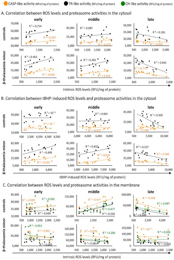 Membranes 11 00716 g002 Membranes 11 00716 g002