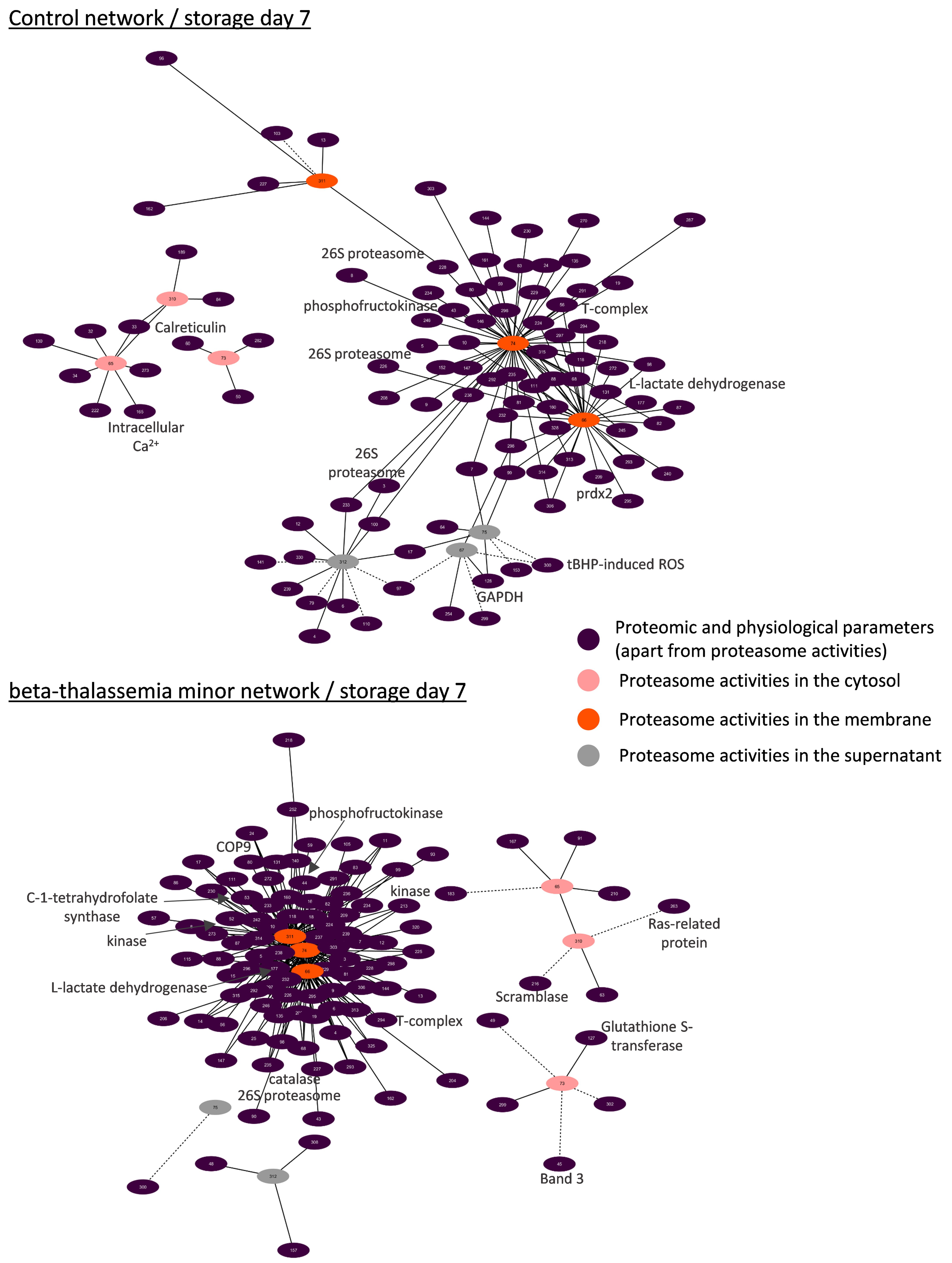 Membranes 11 00716 g006 Membranes 11 00716 g006
