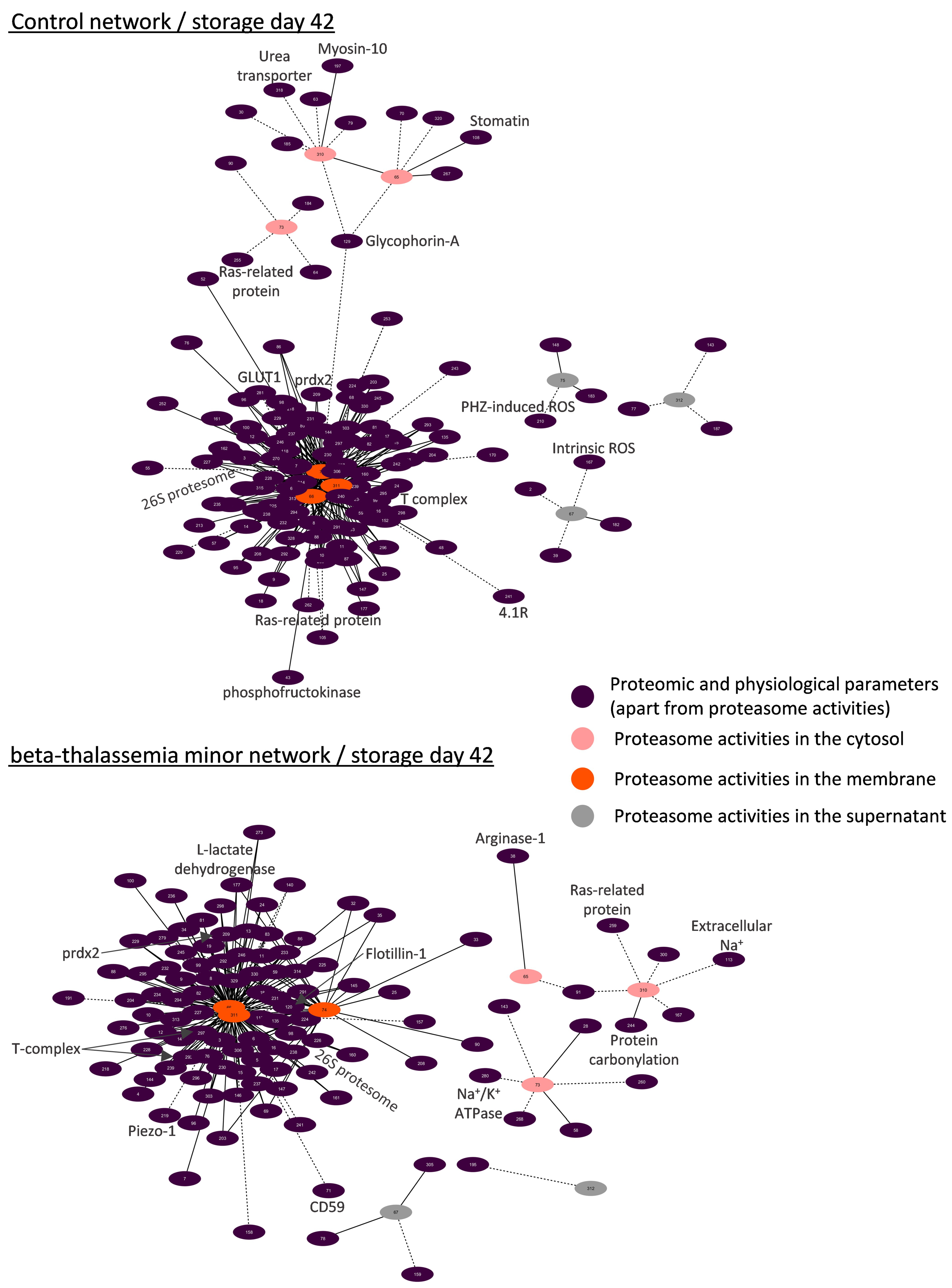 Membranes 11 00716 g007 Membranes 11 00716 g007