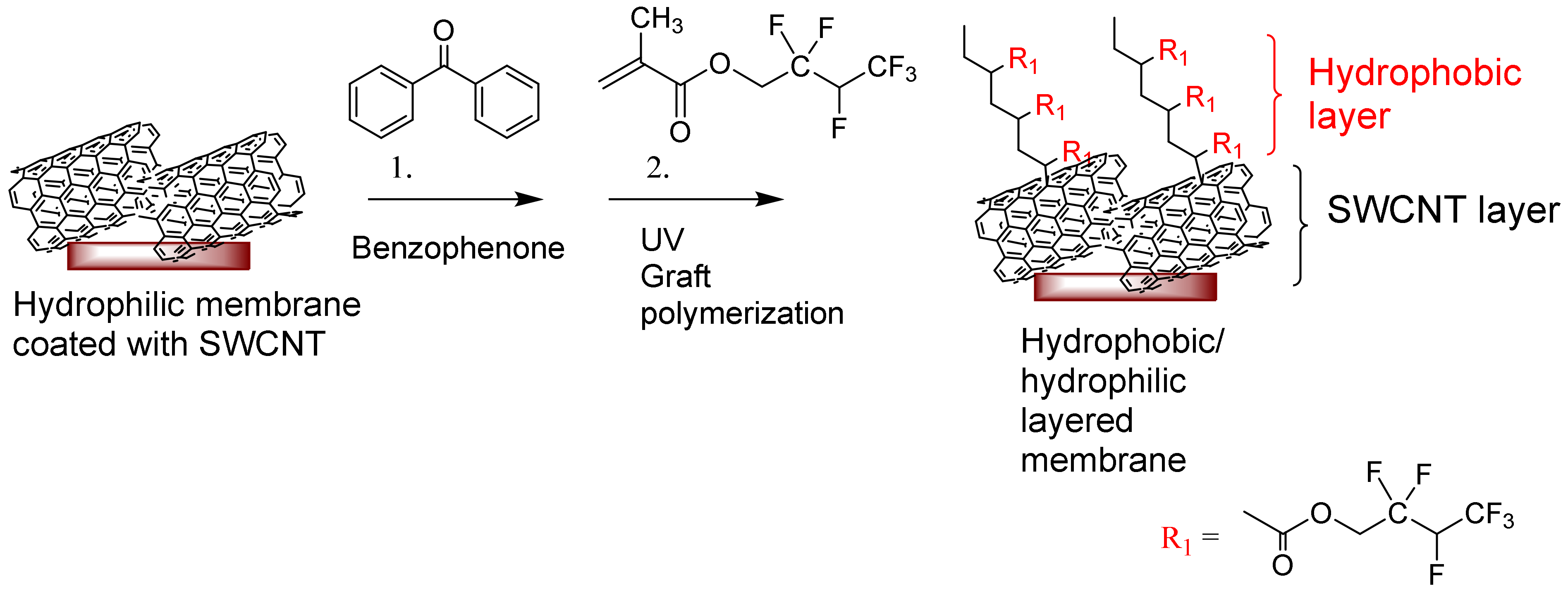 Membranes 11 00720 g001 550