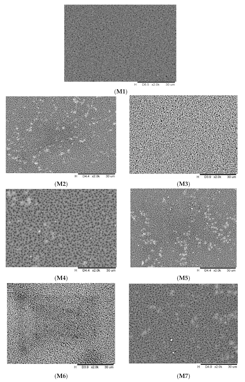 Membranes 11 00721 g002 550