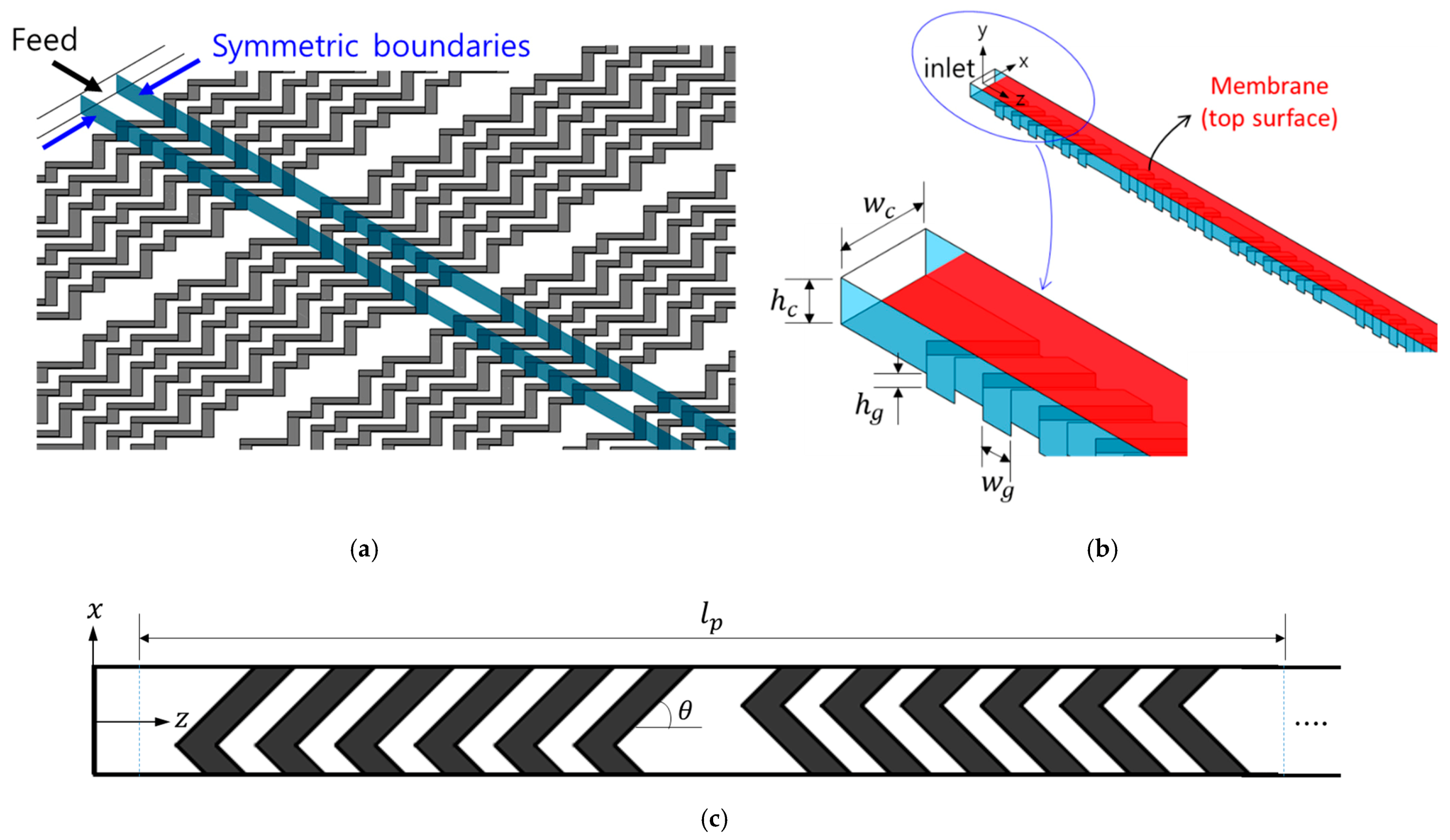 Membranes 11 00724 g001