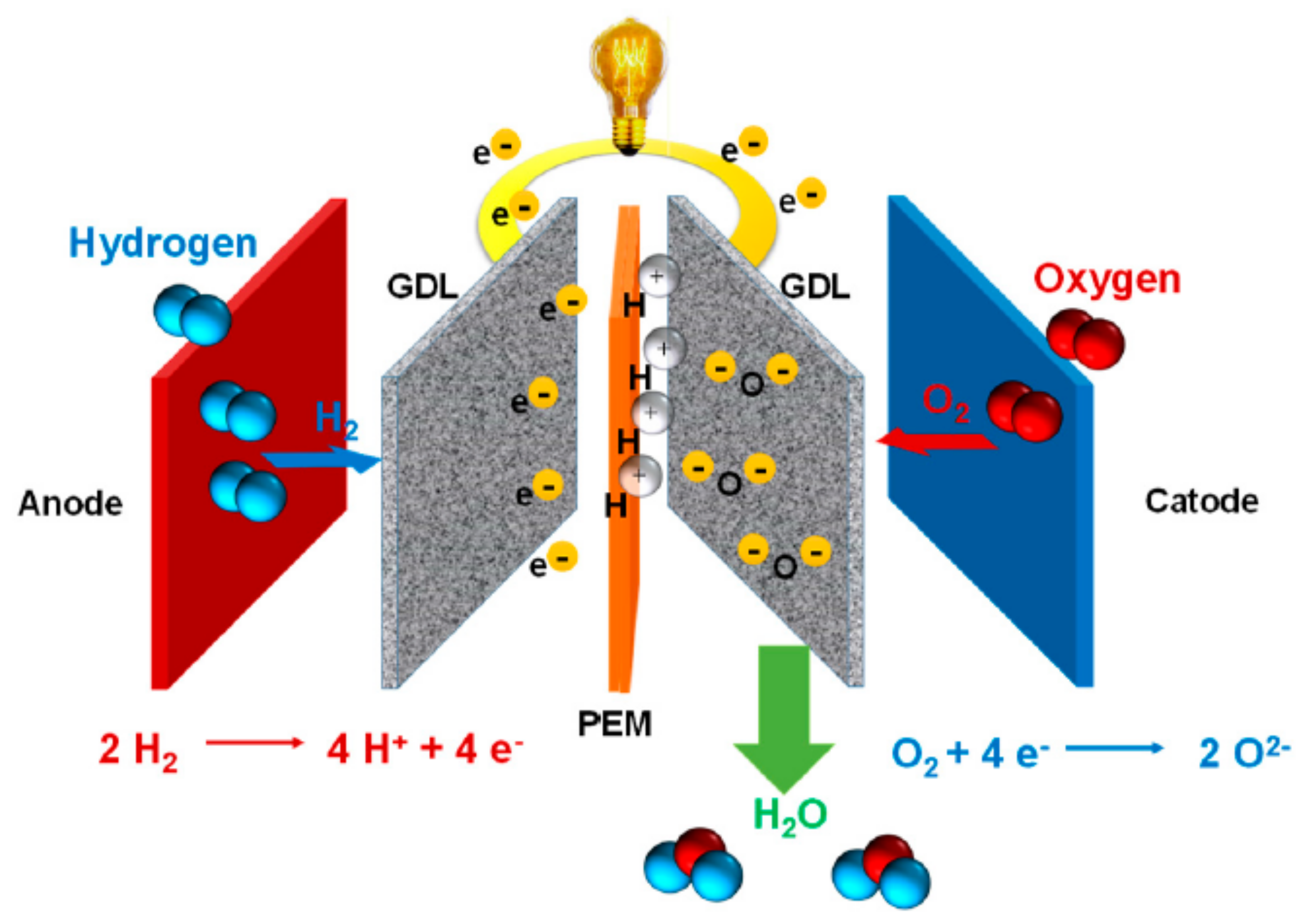Membranes 11 00728 g001