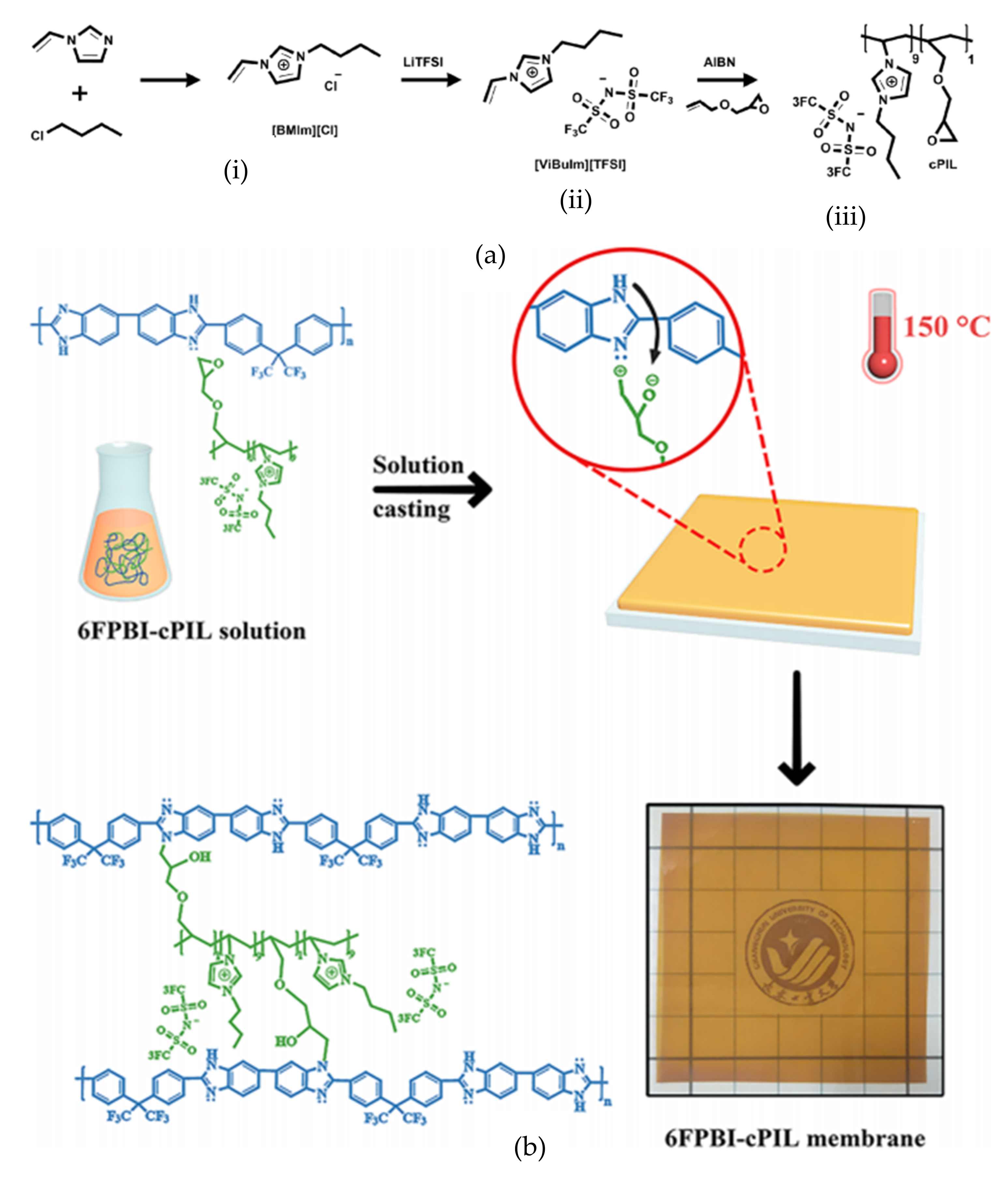 Membranes 11 00728 g010