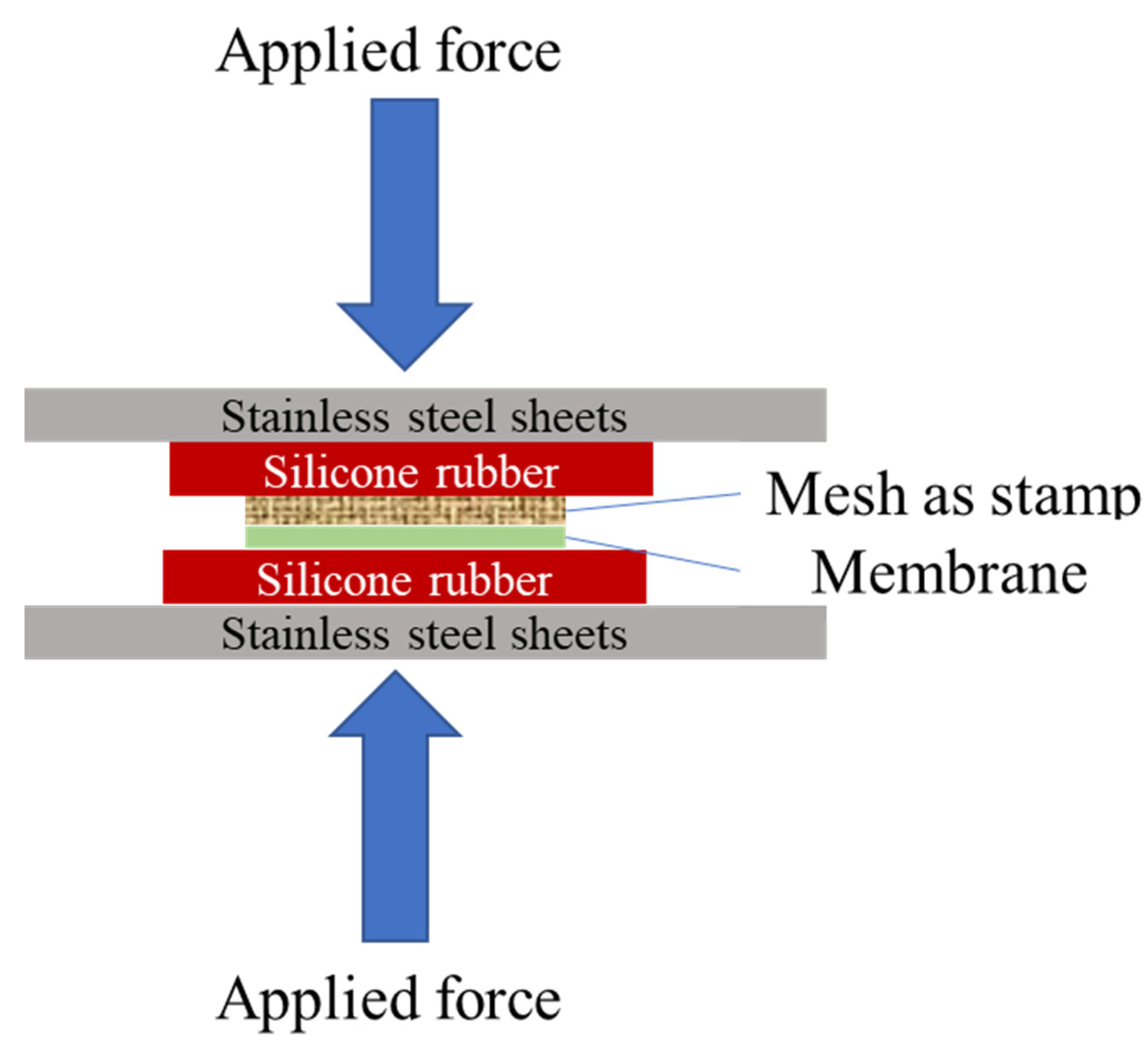 Membranes 11 00730 g001