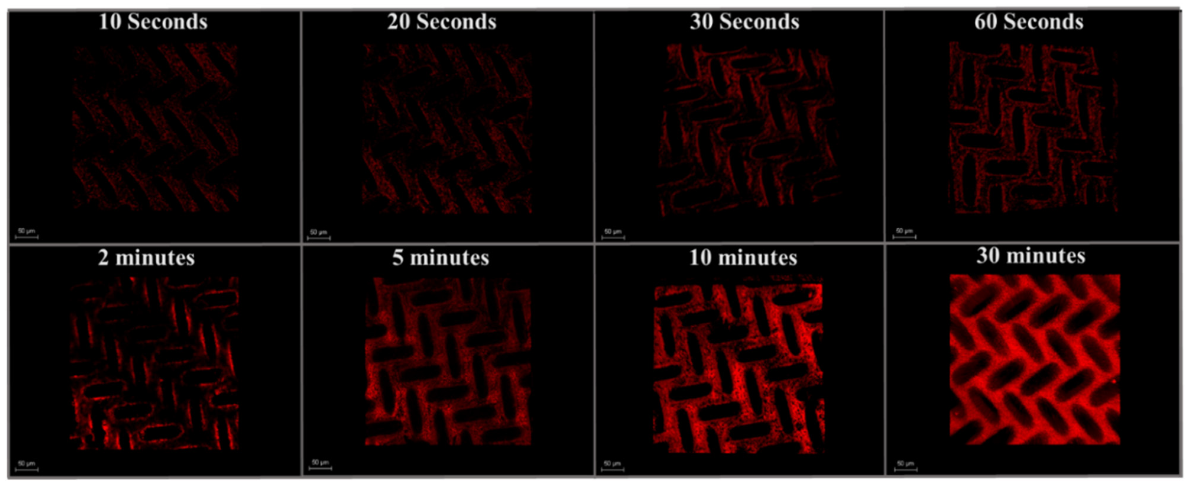 Membranes 11 00730 g007