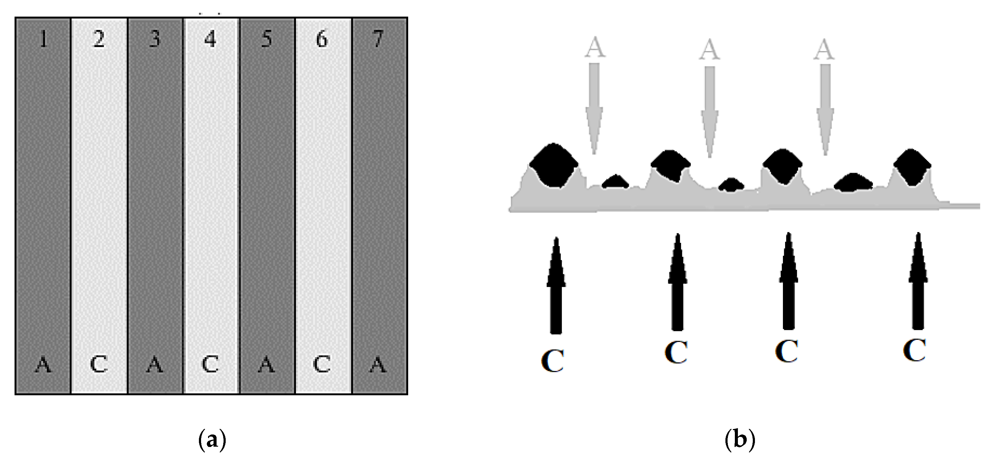 Membranes 11 00734 g007 550