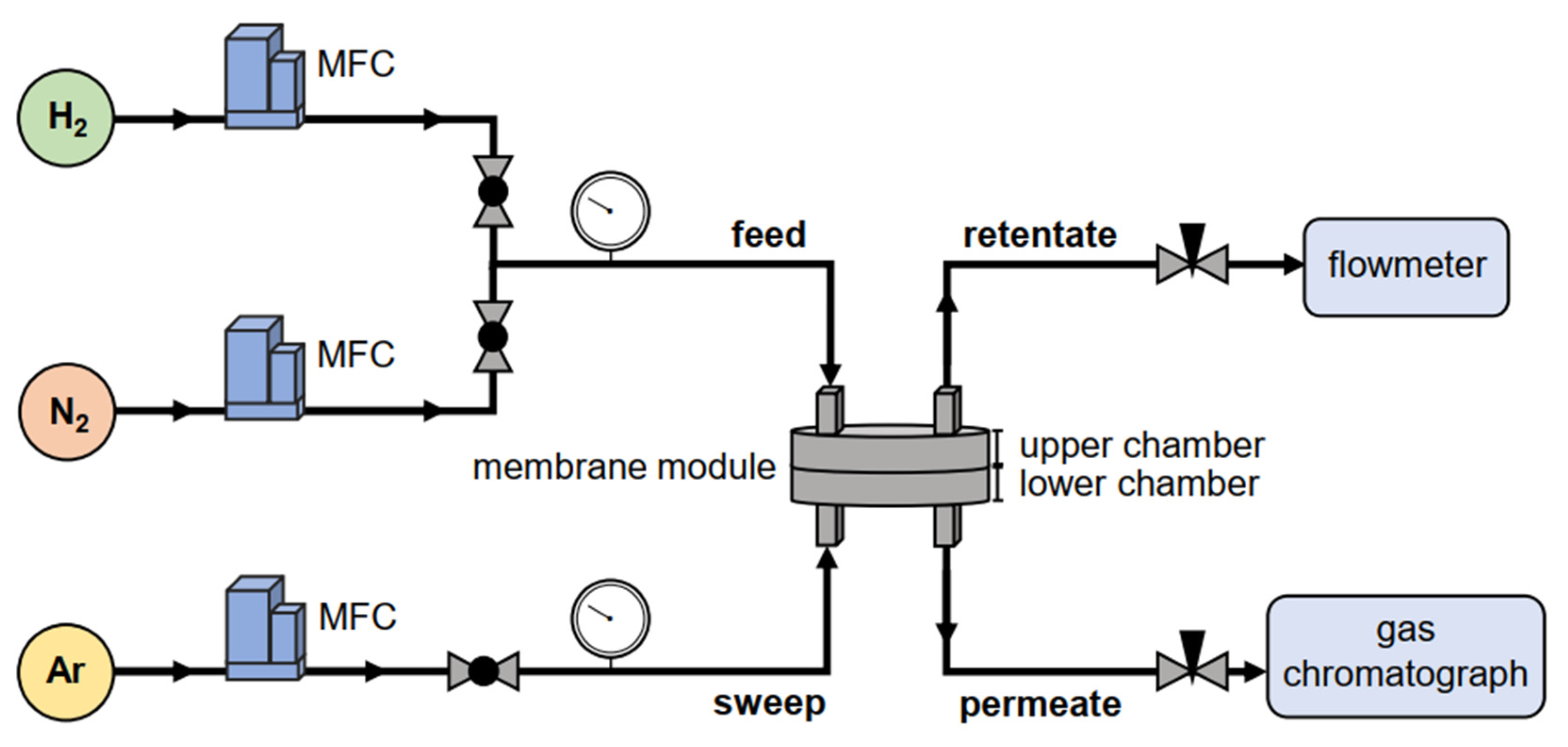 Membranes 11 00735 g002