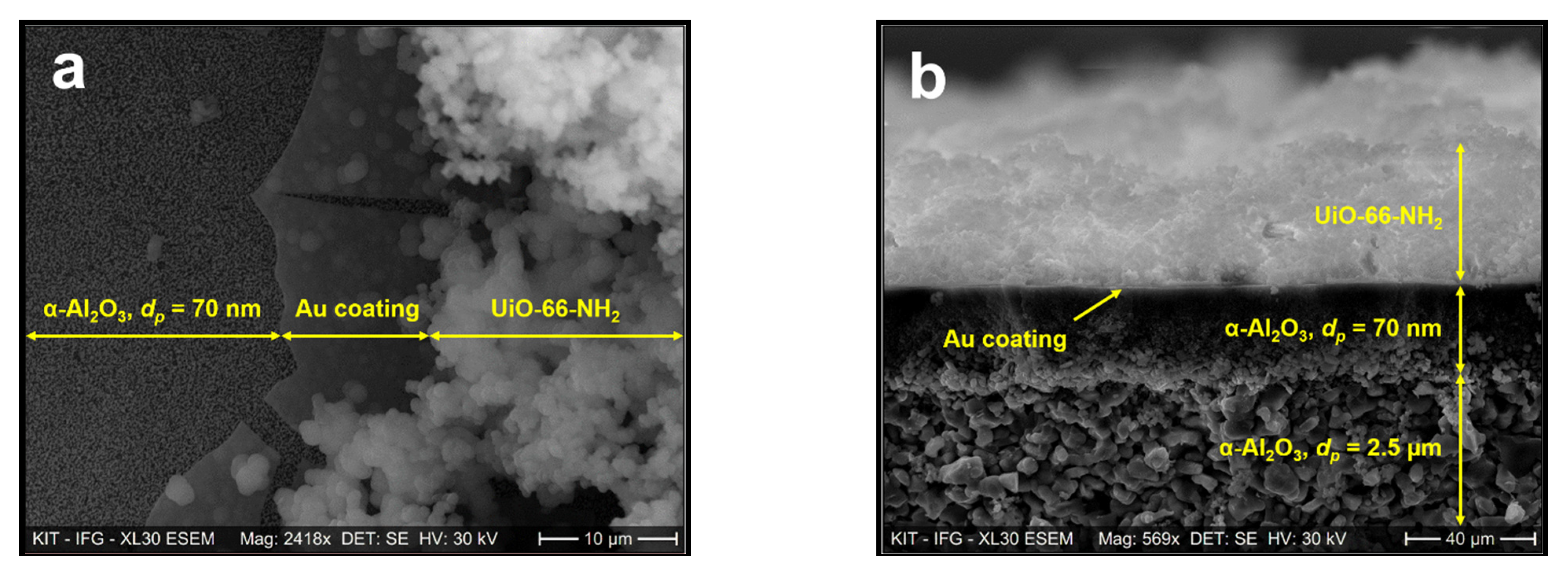 Membranes 11 00735 g004