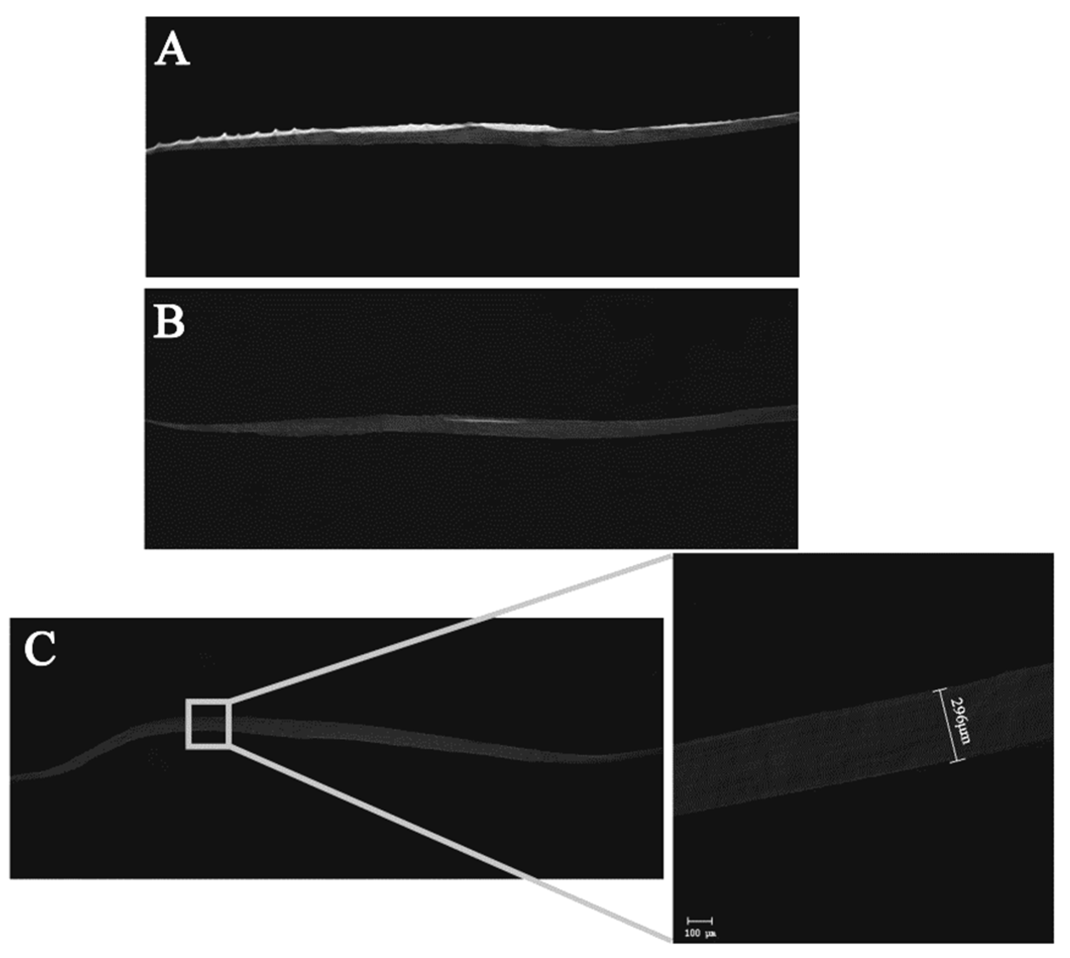 Membranes 11 00737 g004