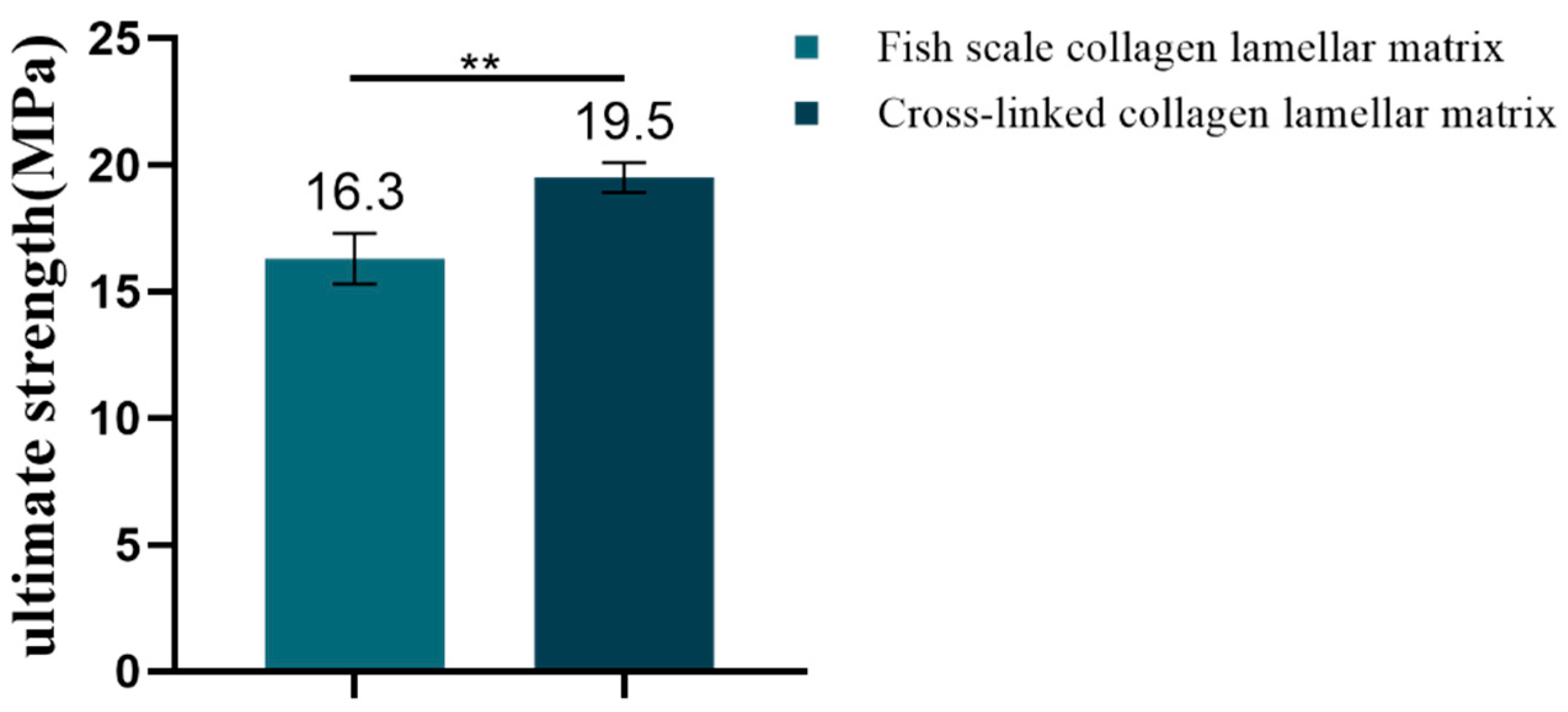 Membranes 11 00737 g011