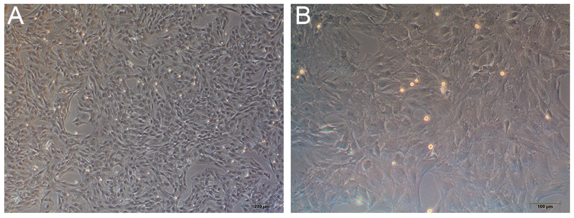 Membranes 11 00737 g012