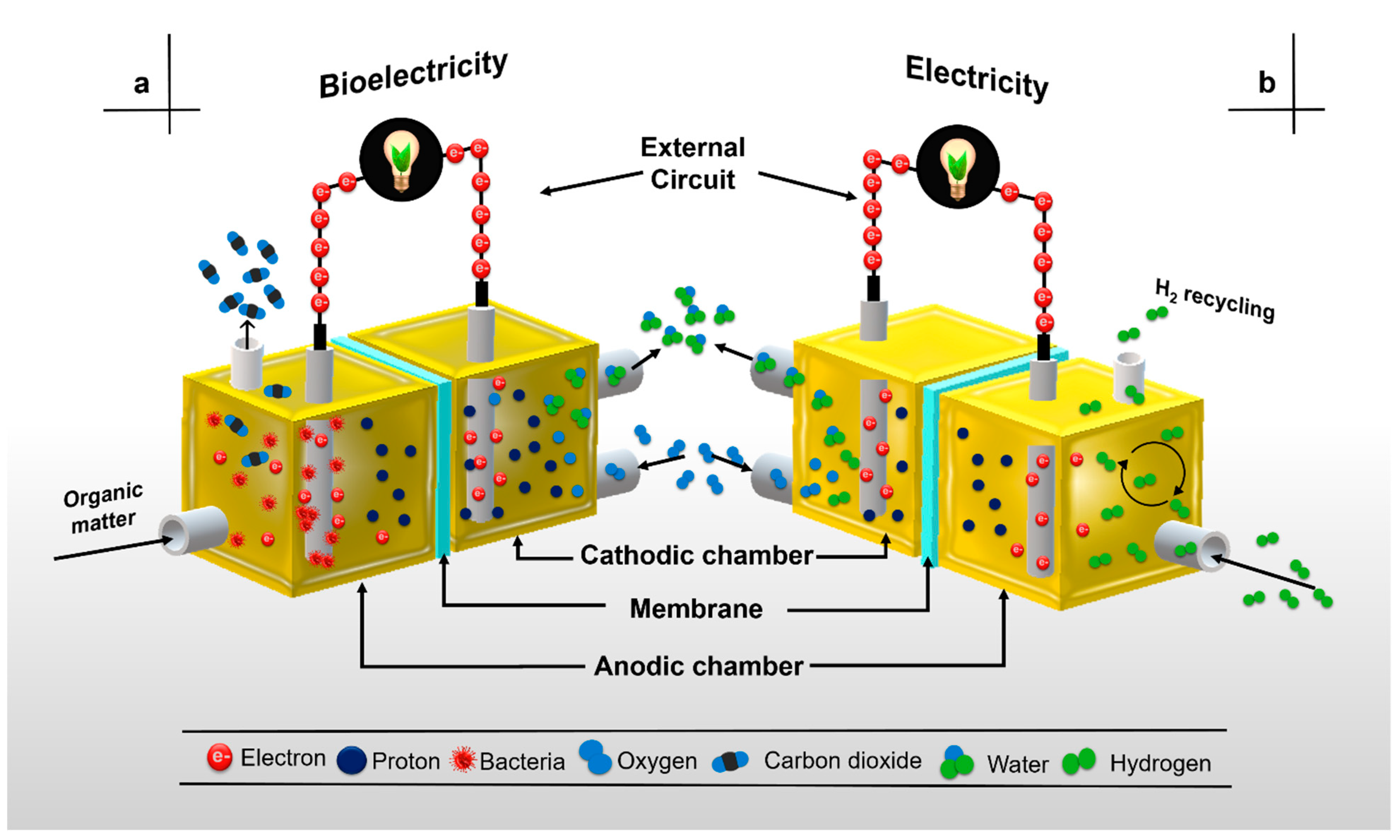 Membranes 11 00738 g001 Membranes 11 00738 g001