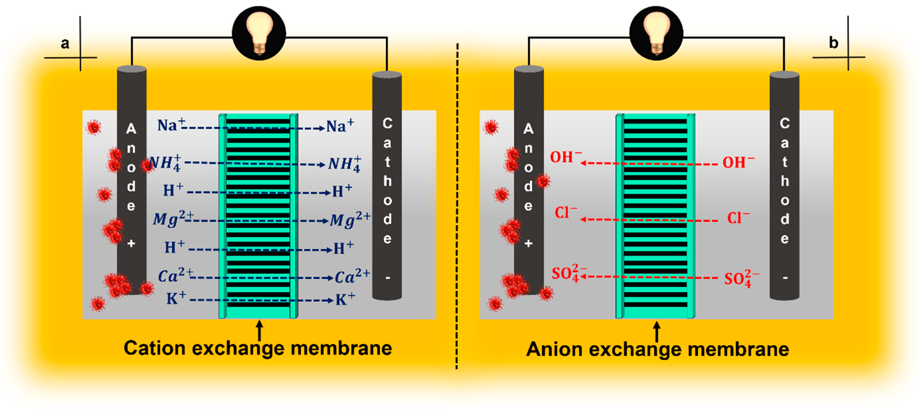 Membranes 11 00738 g005 Membranes 11 00738 g005