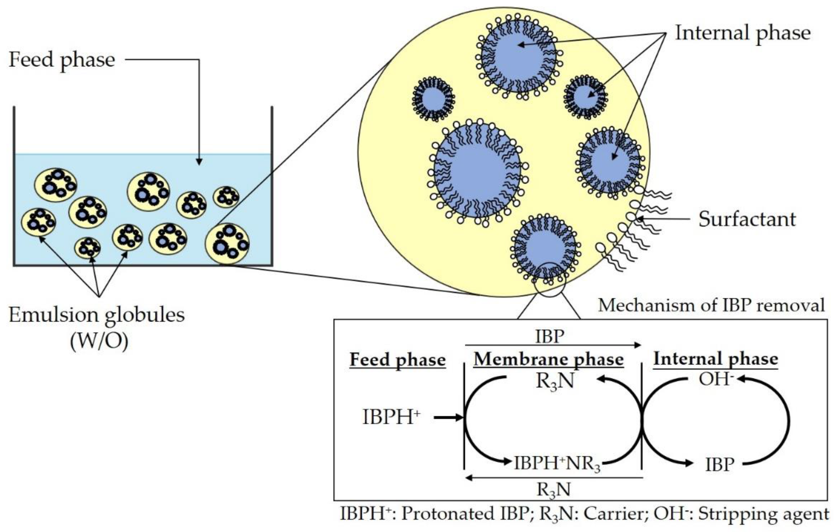 Membranes 11 00740 g001 550