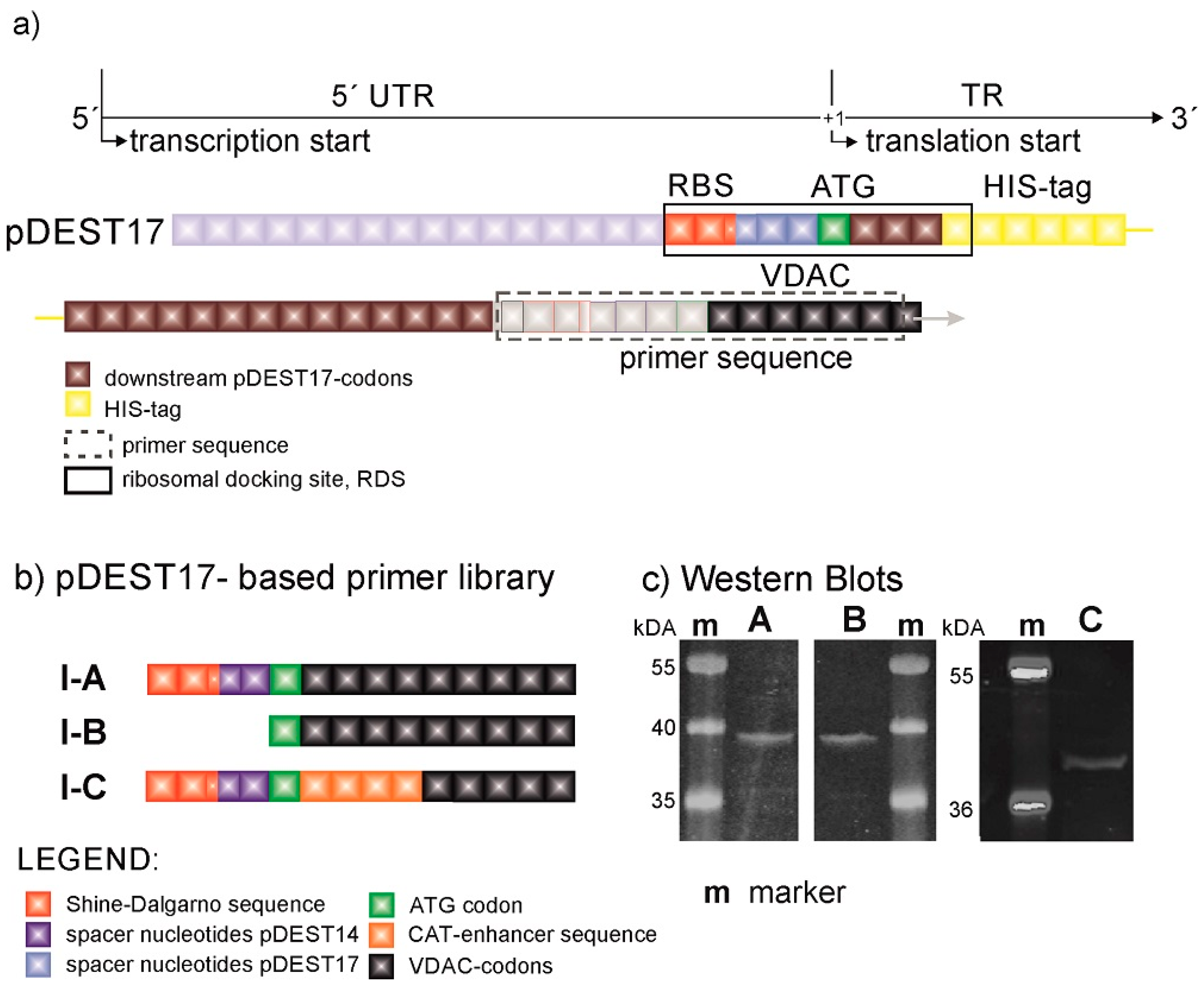 Membranes 11 00741 g001 550