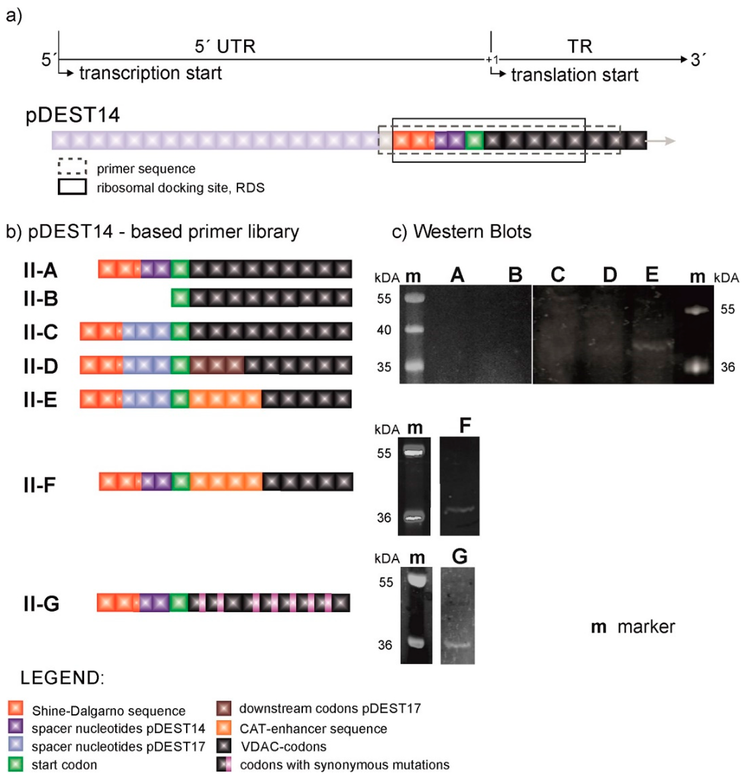 Membranes 11 00741 g002 550