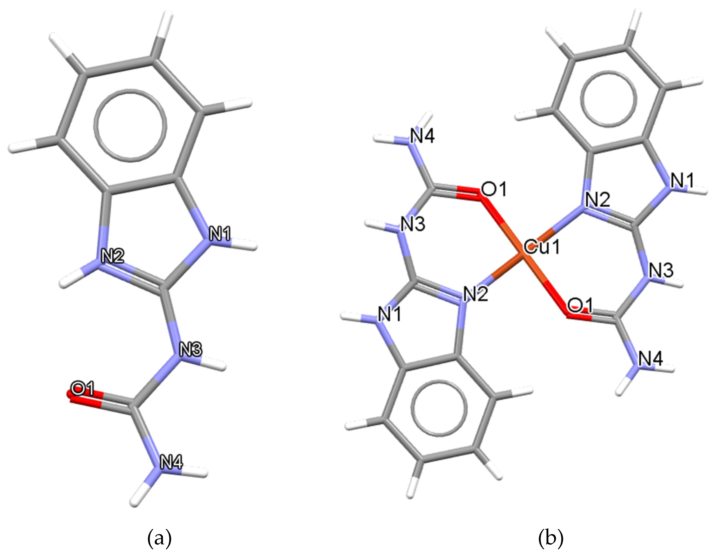 Membranes 11 00743 g001