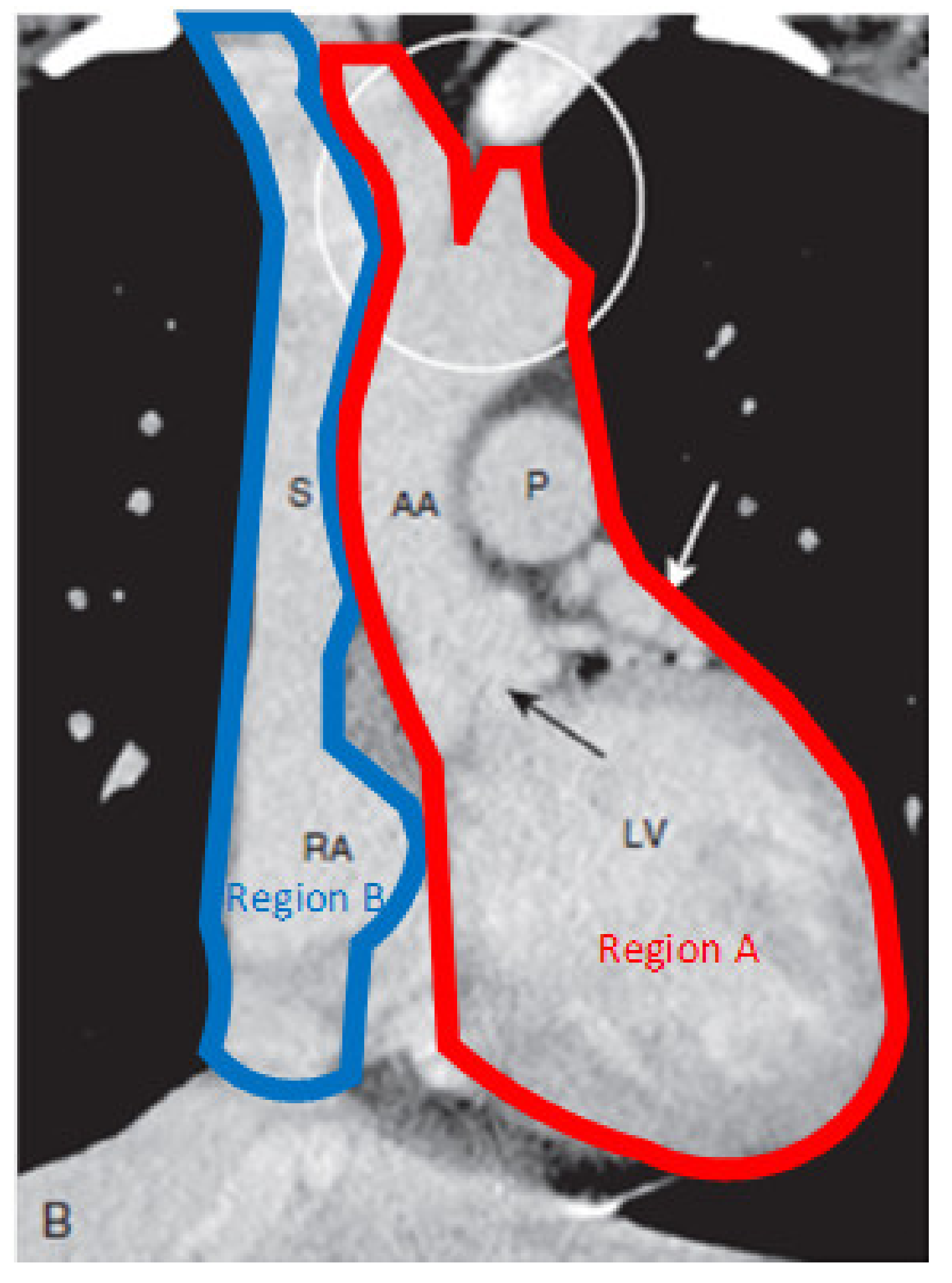 Membranes 11 00744 g001 Membranes 11 00744 g001