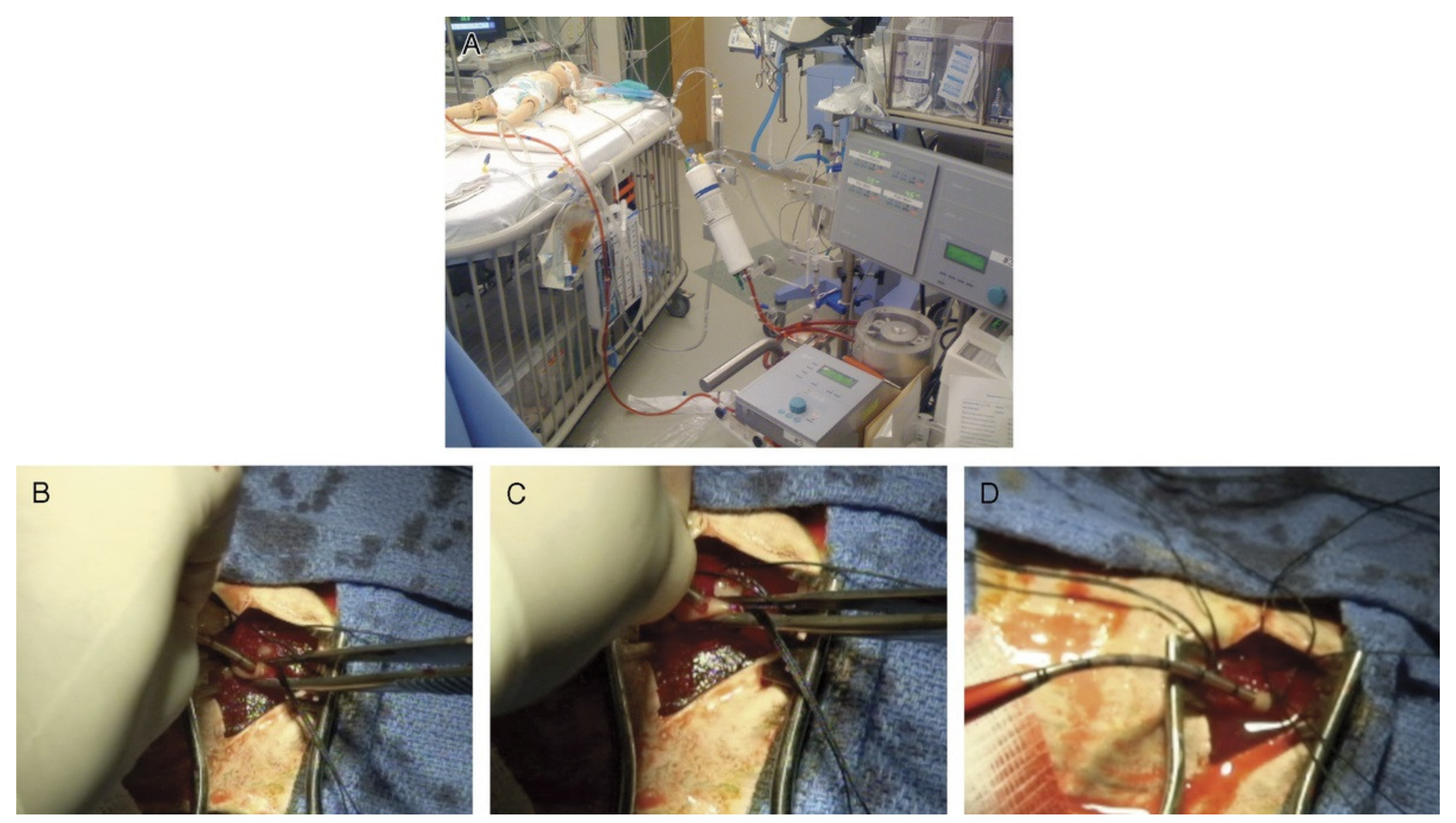 Membranes 11 00744 g006 Membranes 11 00744 g006