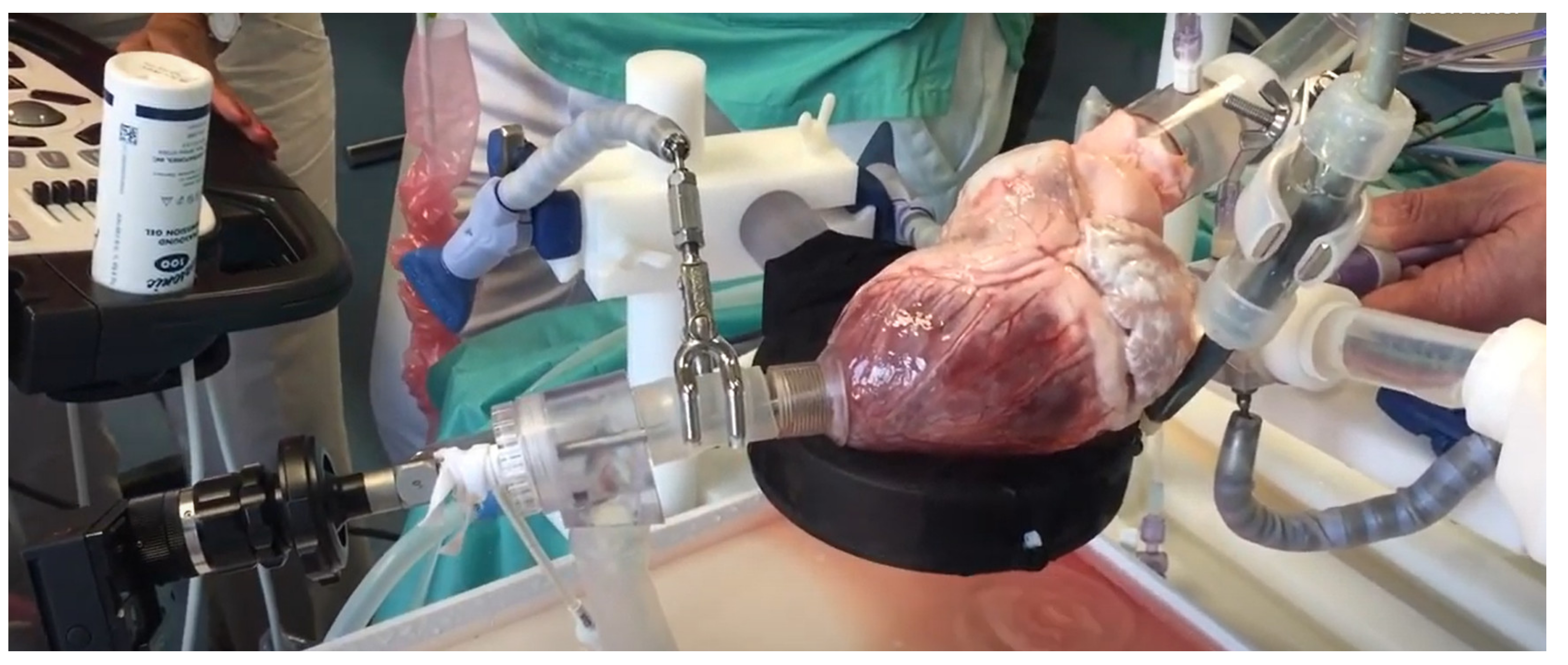 Membranes 11 00744 g014 Membranes 11 00744 g014