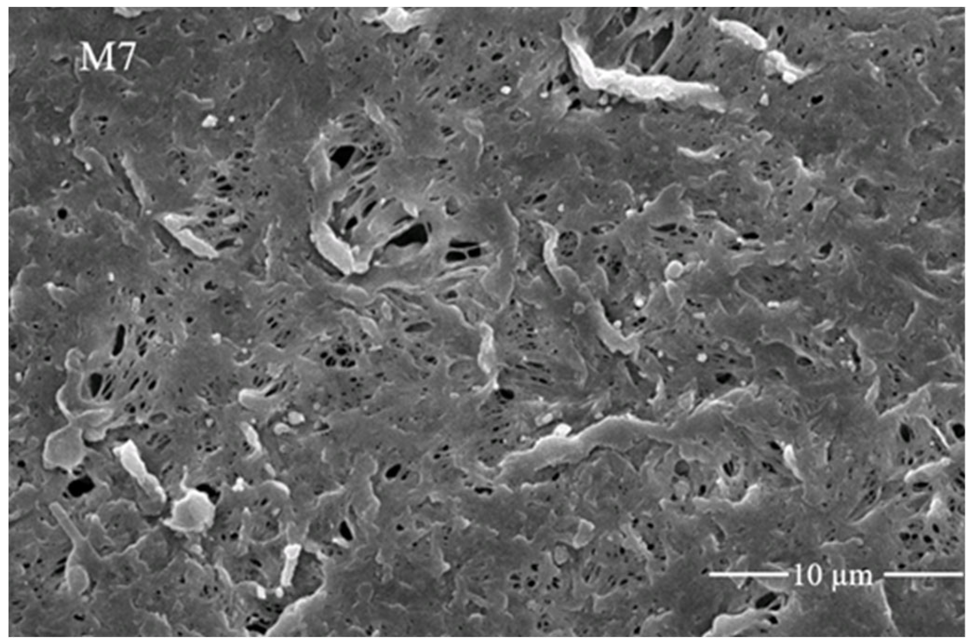 Membranes 11 00749 g006b