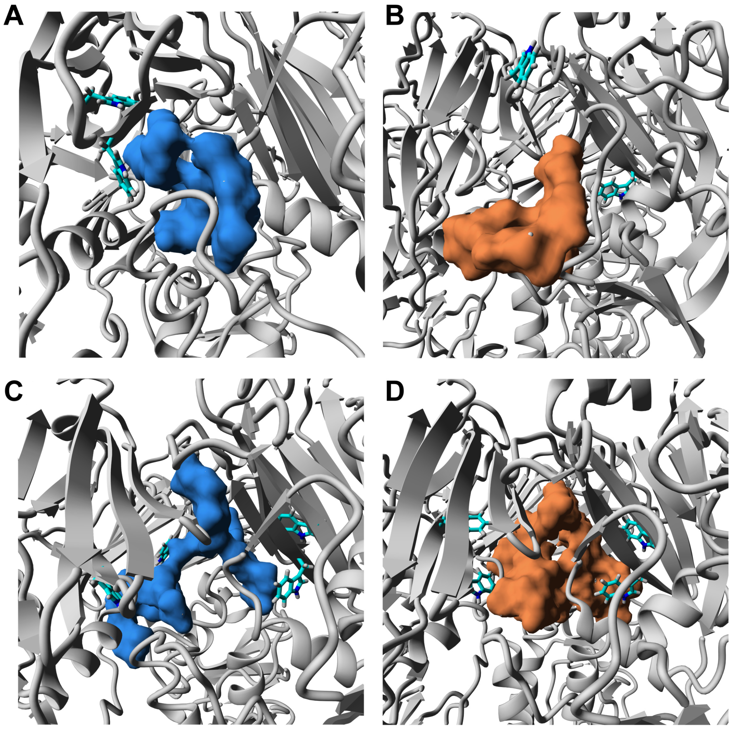 Membranes 11 00757 g006