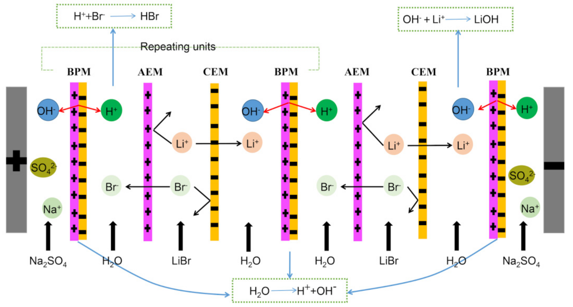 Membranes 11 00759 g002